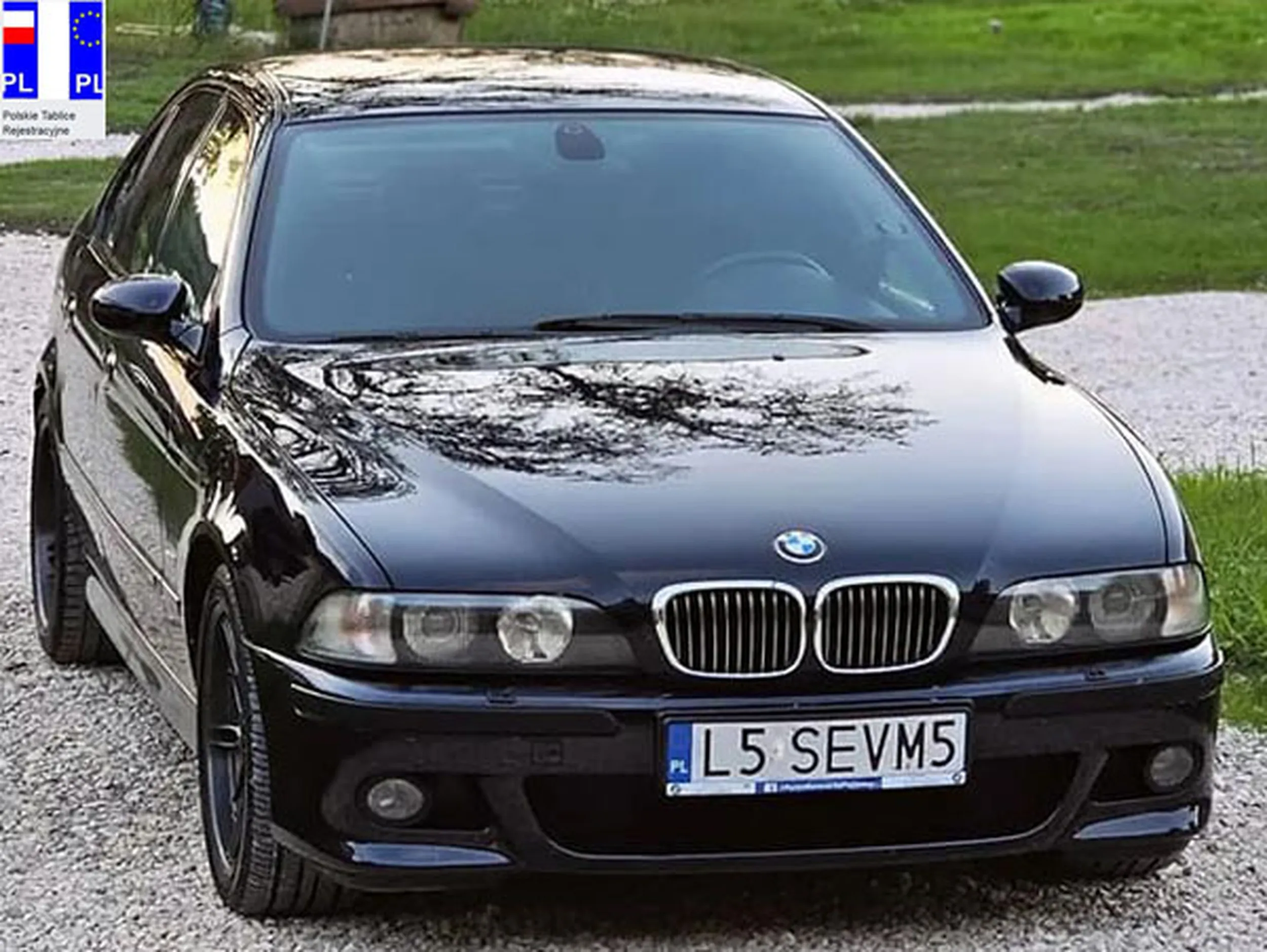 Fajny numer, blacha L5 SEVM5