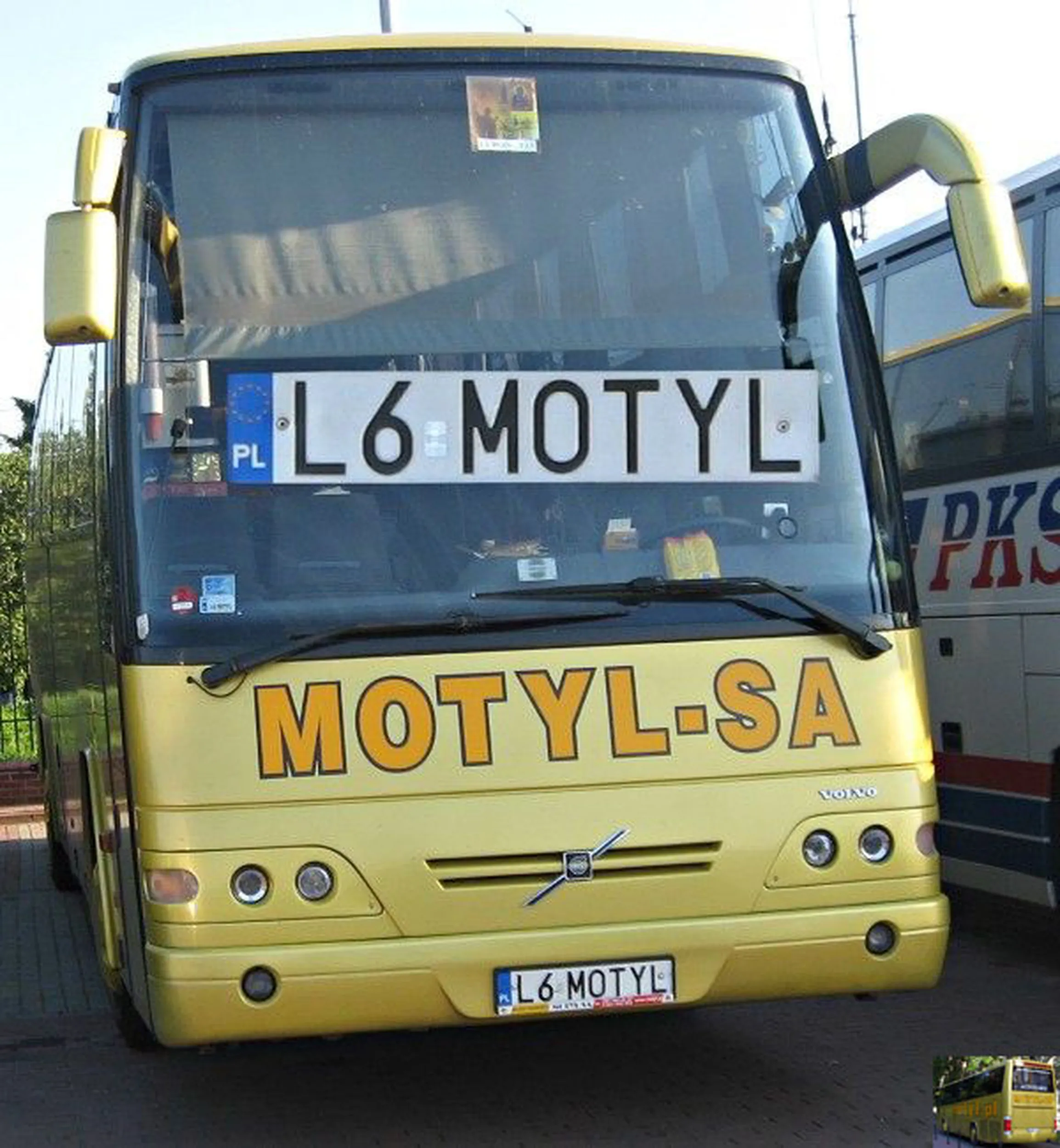 Fajny numer, blacha L6 MOTYL