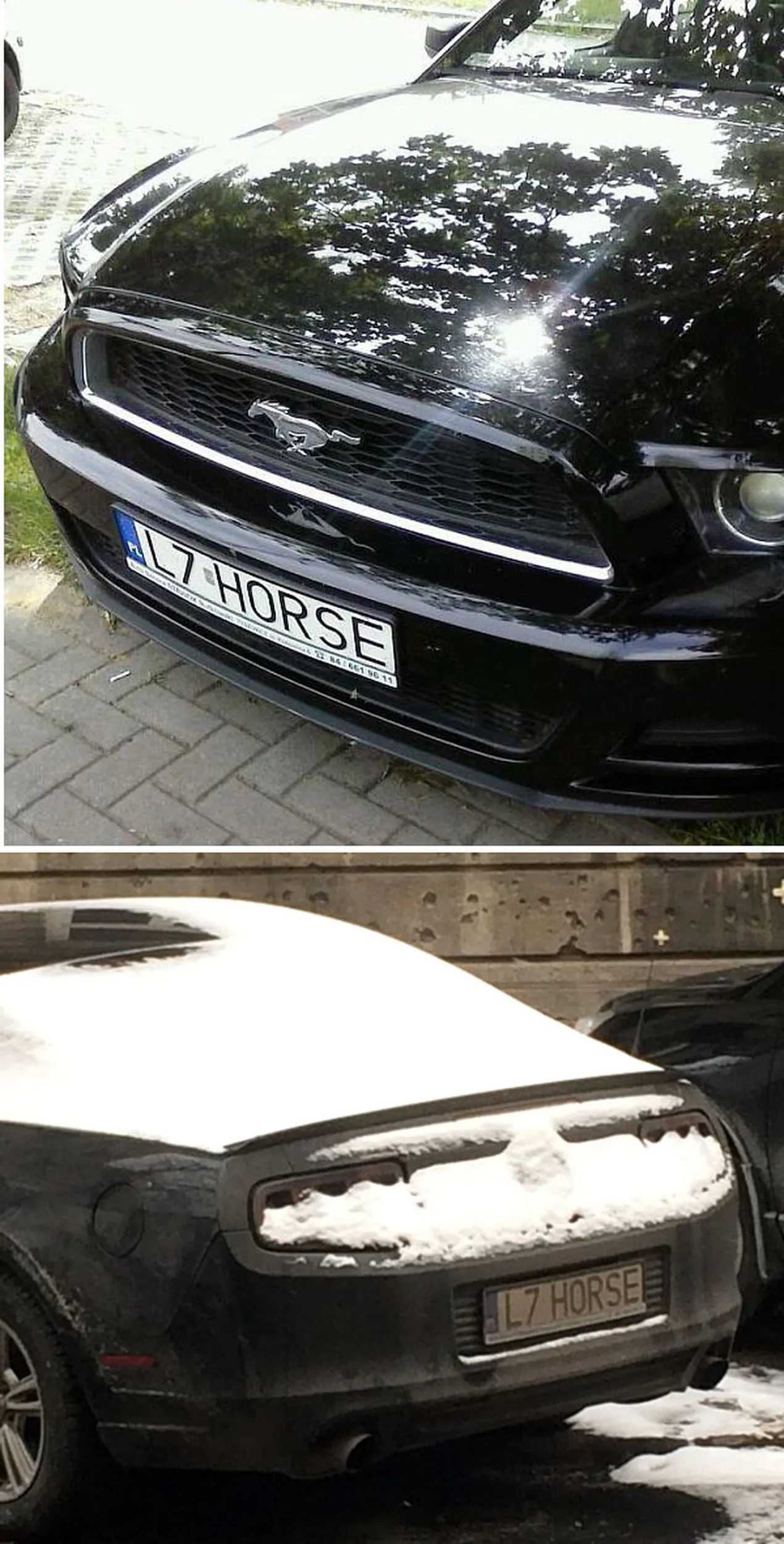 Fajny numer, blacha L7 HORSE