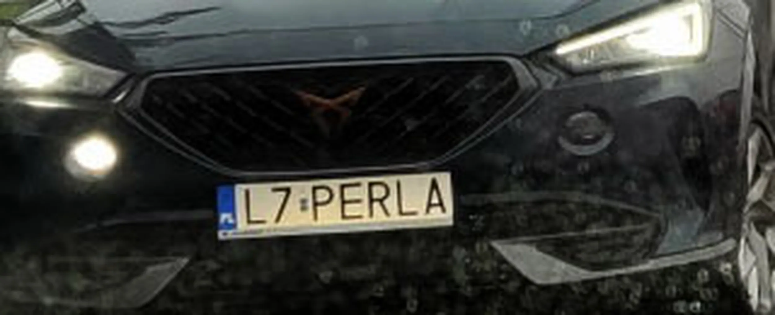 Fajny numer, blacha L7 PERLA