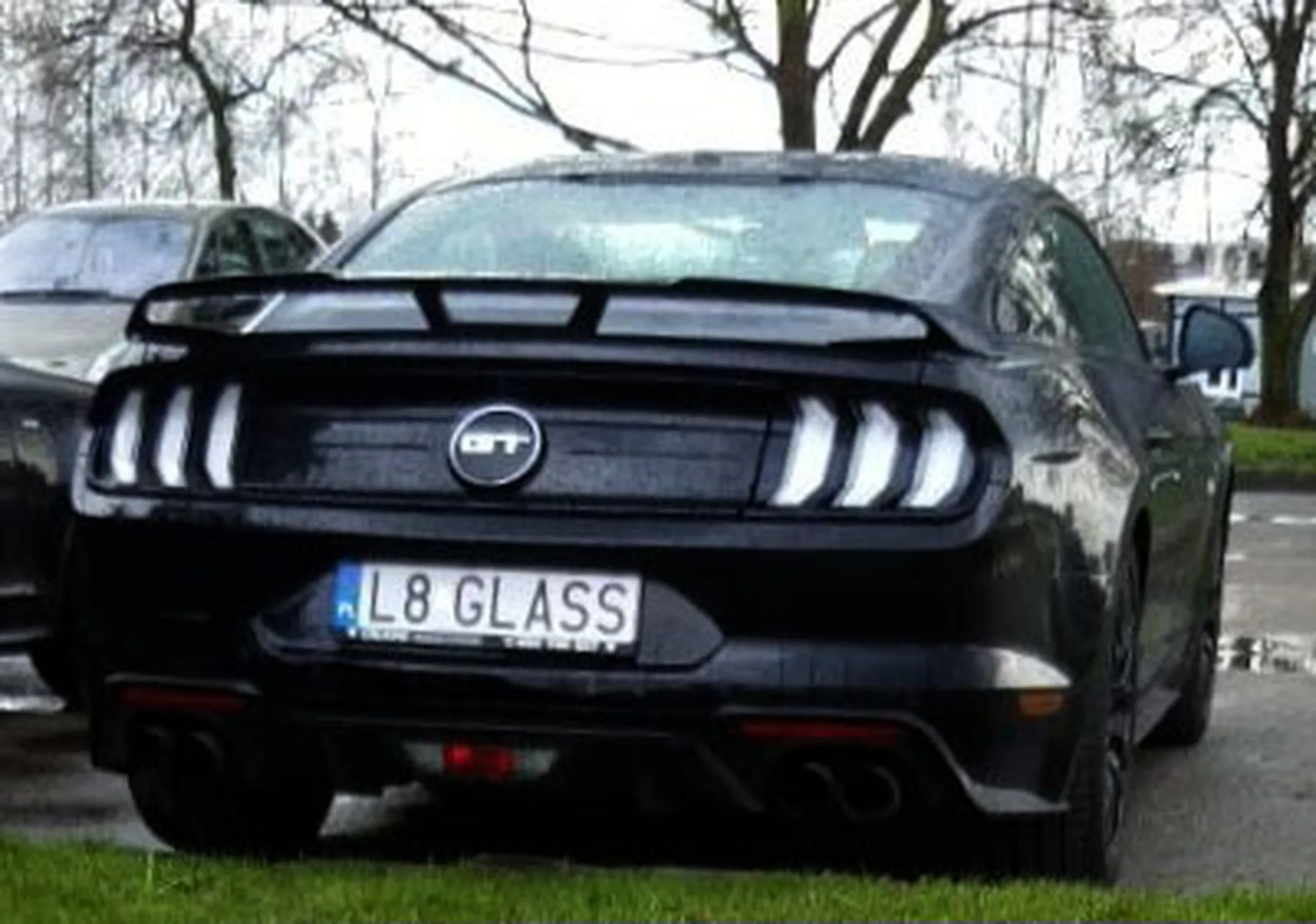 Fajny numer, blacha L8 GLASS