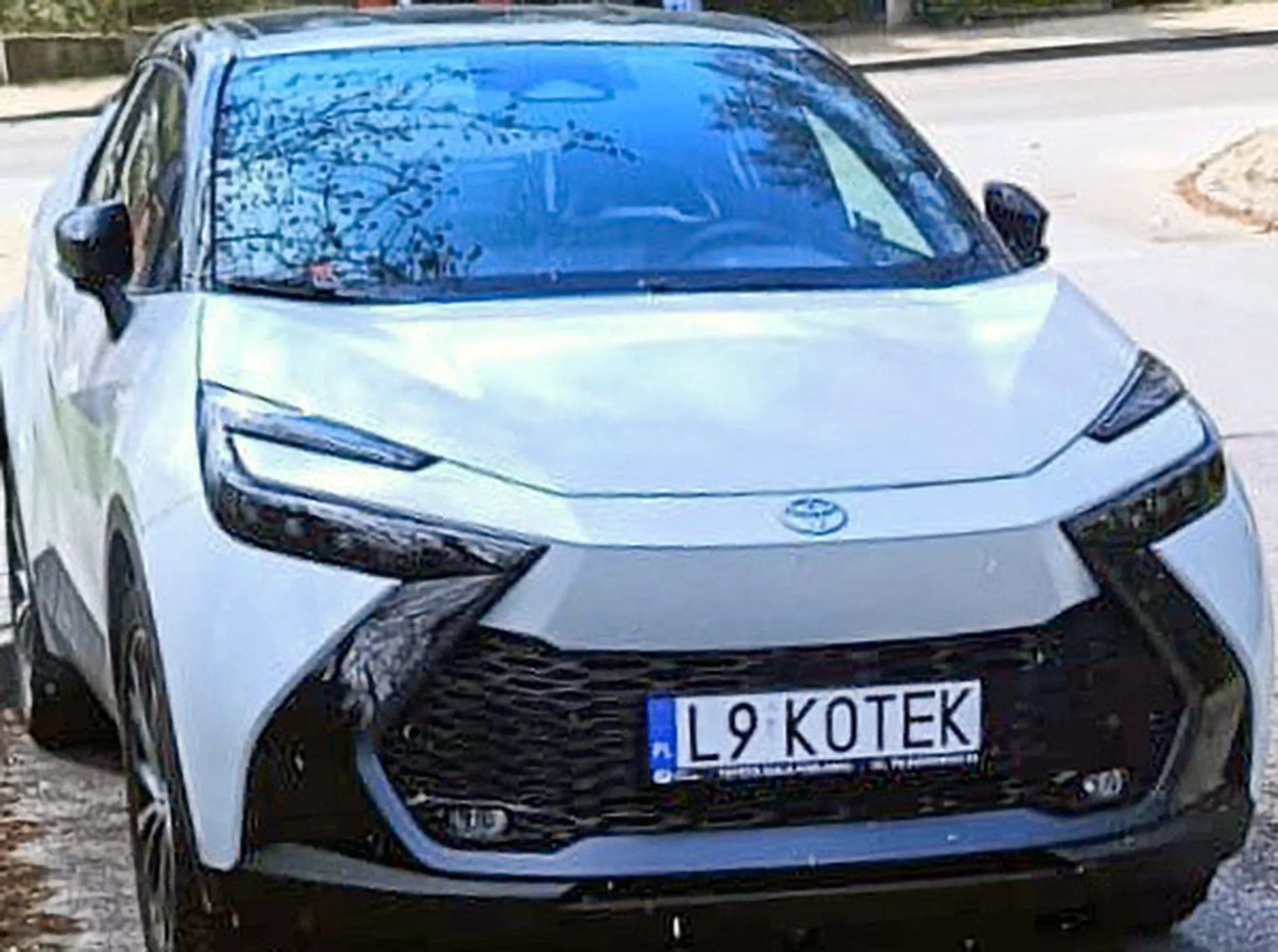 Fajny numer, blacha L9 KOTEK