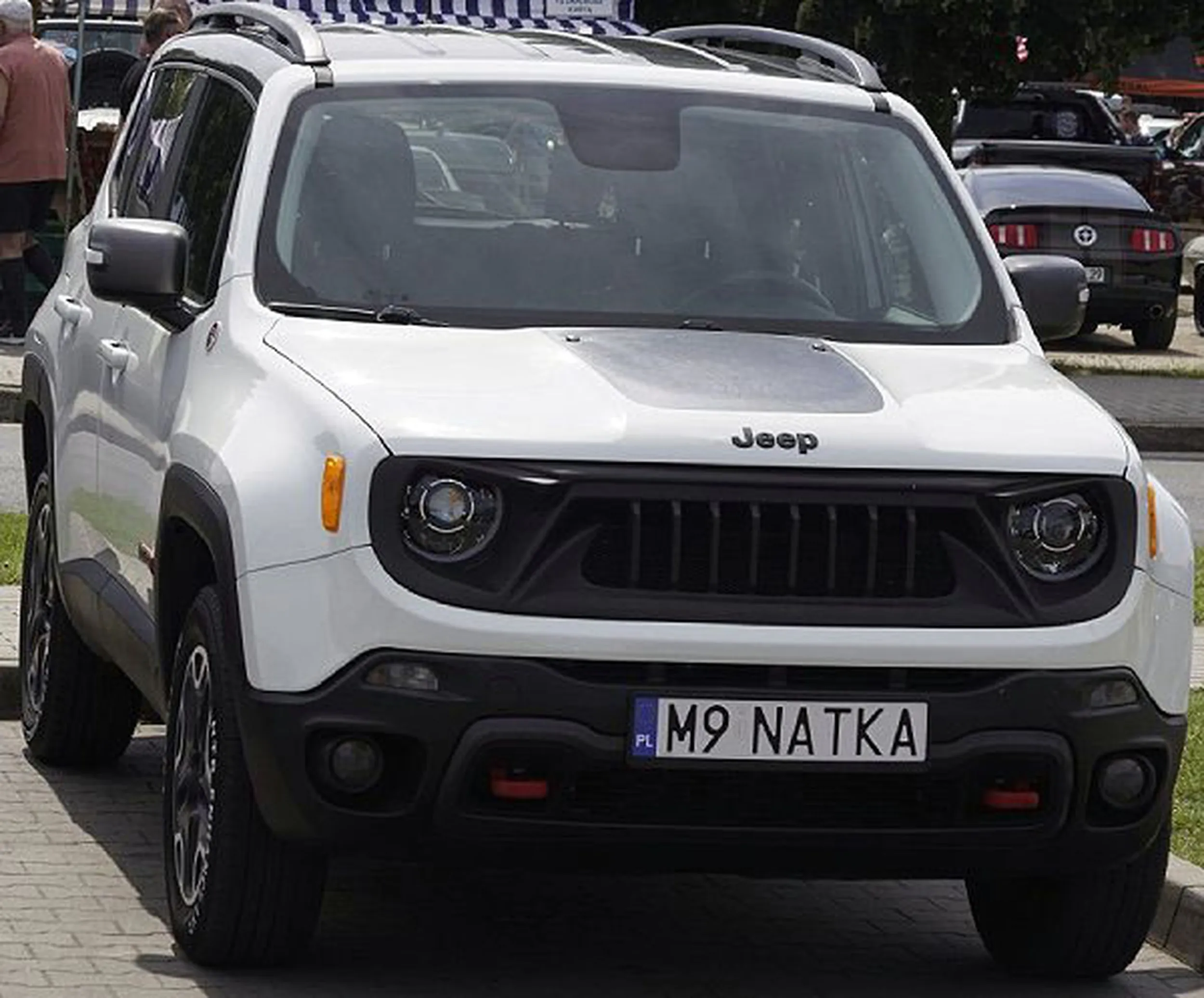 Fajny numer, blacha M9 NATKA