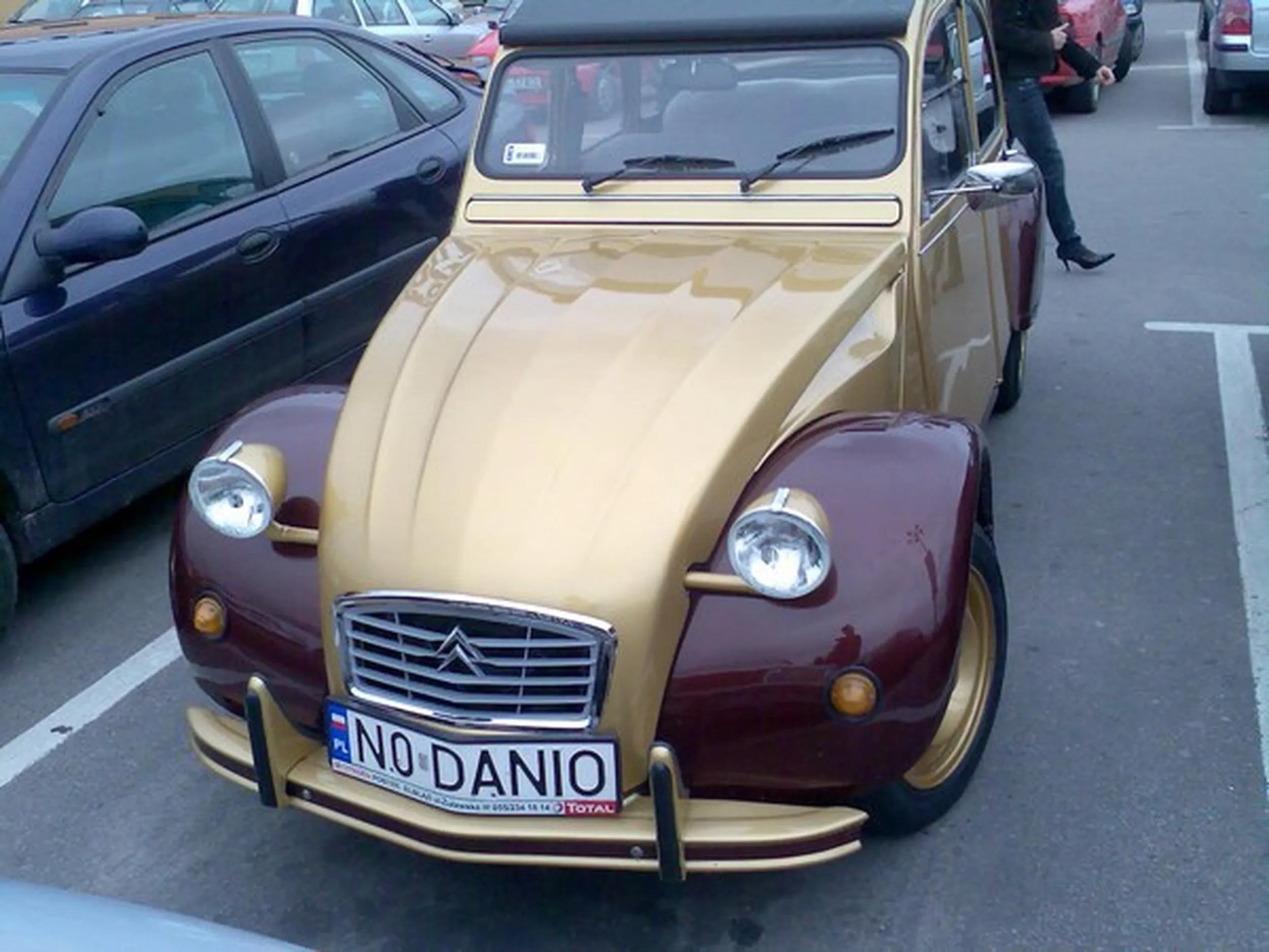 Fajny numer, blacha N0 DANIO