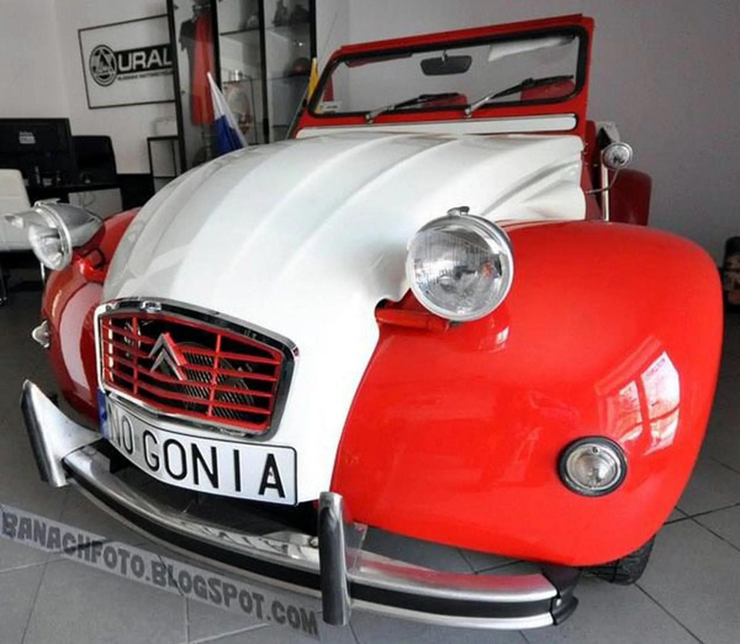 Fajny numer, blacha N0 GONIA