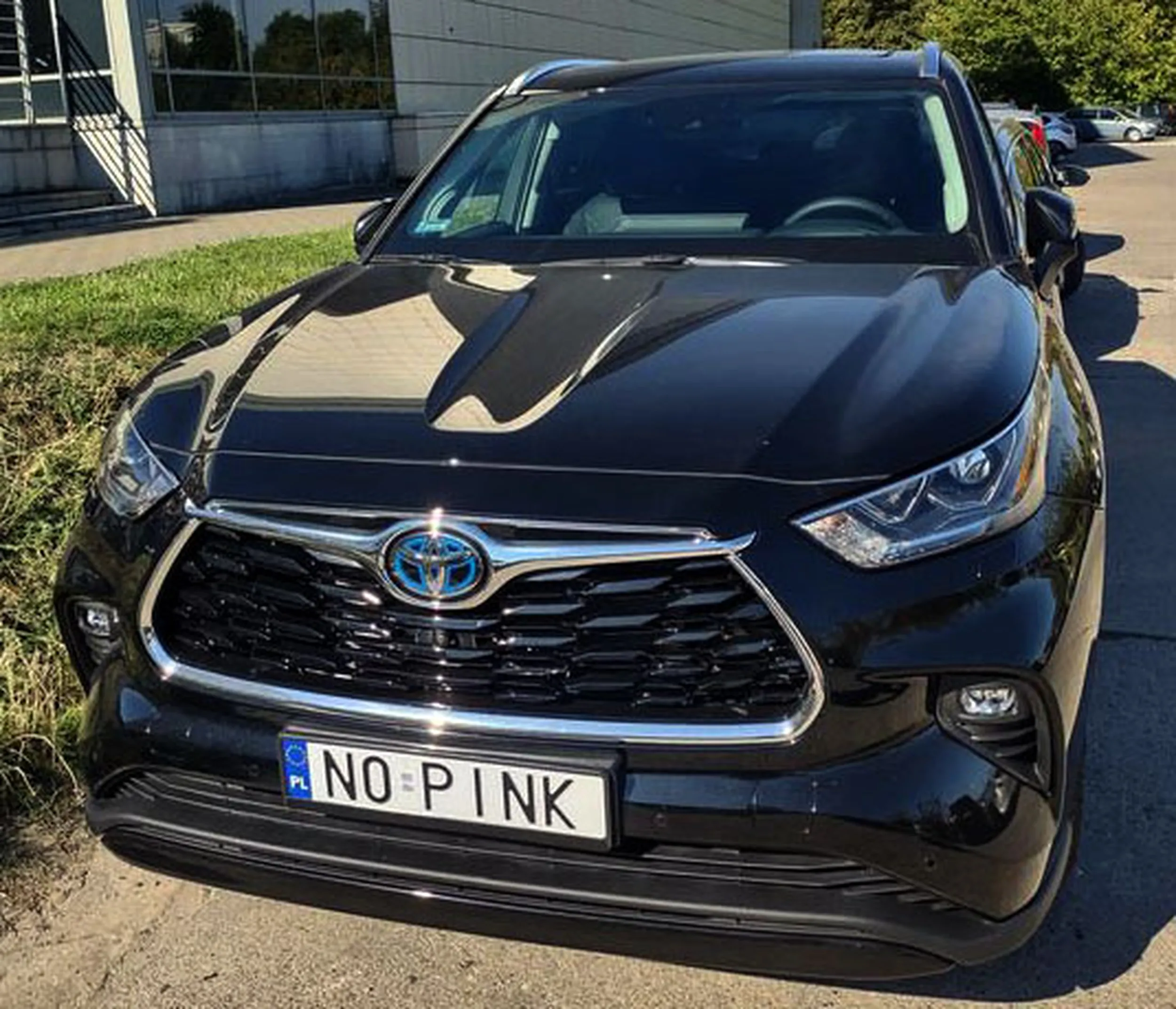 Fajny numer, blacha N0 PINK