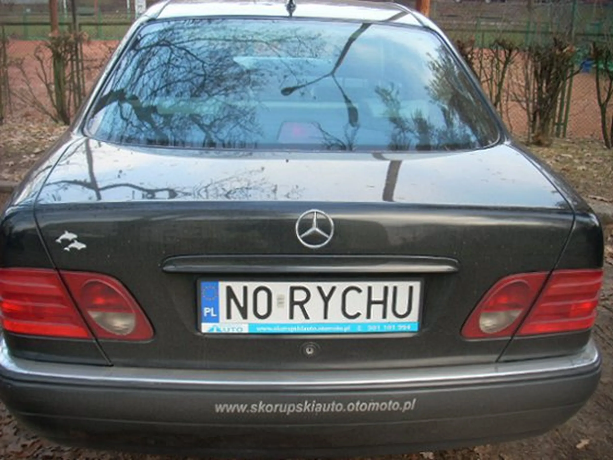 Fajny numer, blacha N0 RYCHU