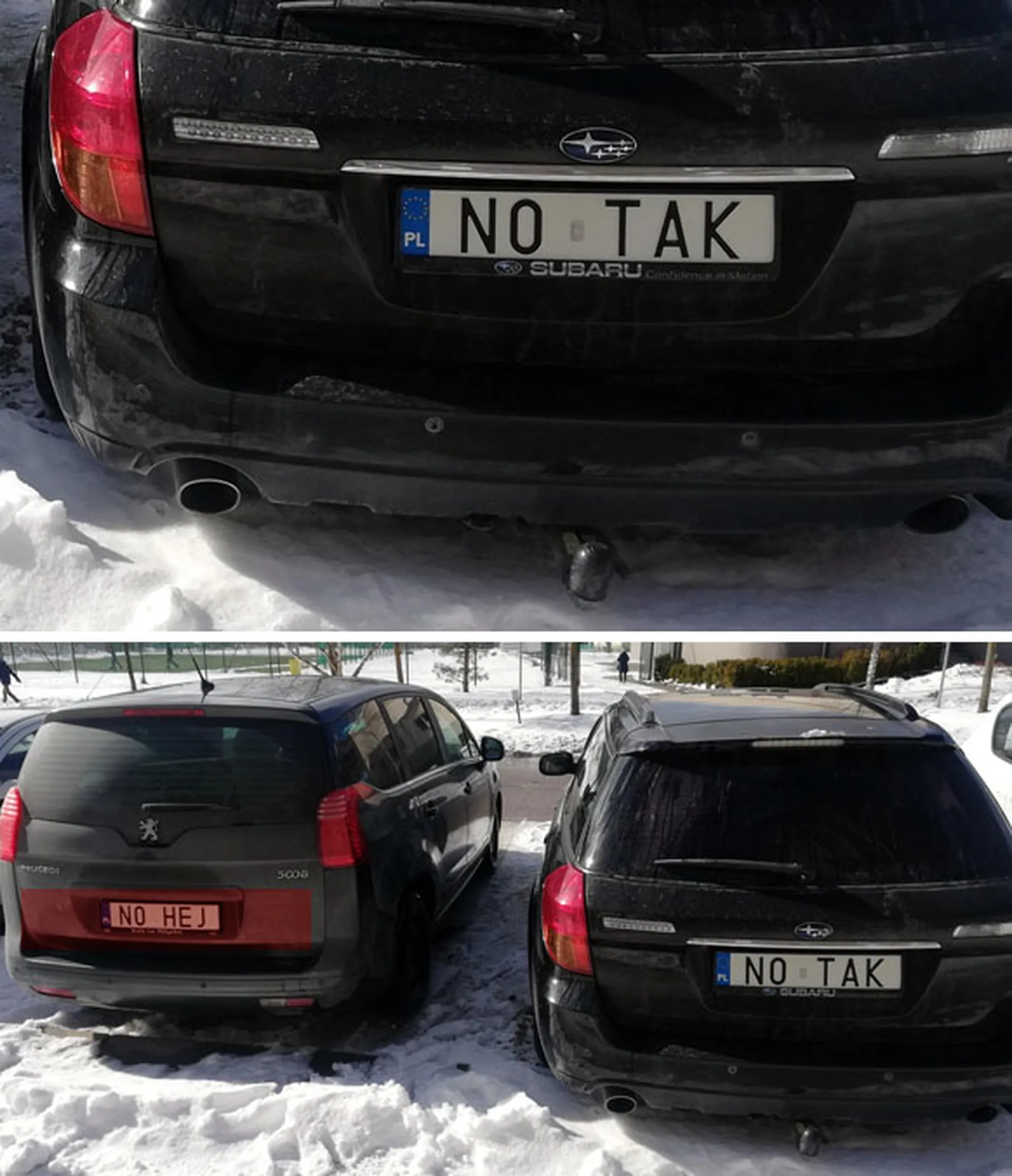 Fajny numer, blacha N0 TAK