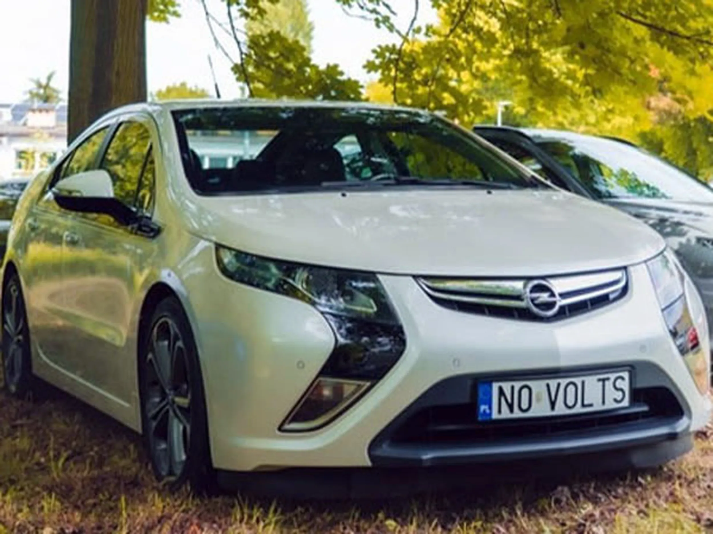 Fajny numer, blacha N0 VOLTS