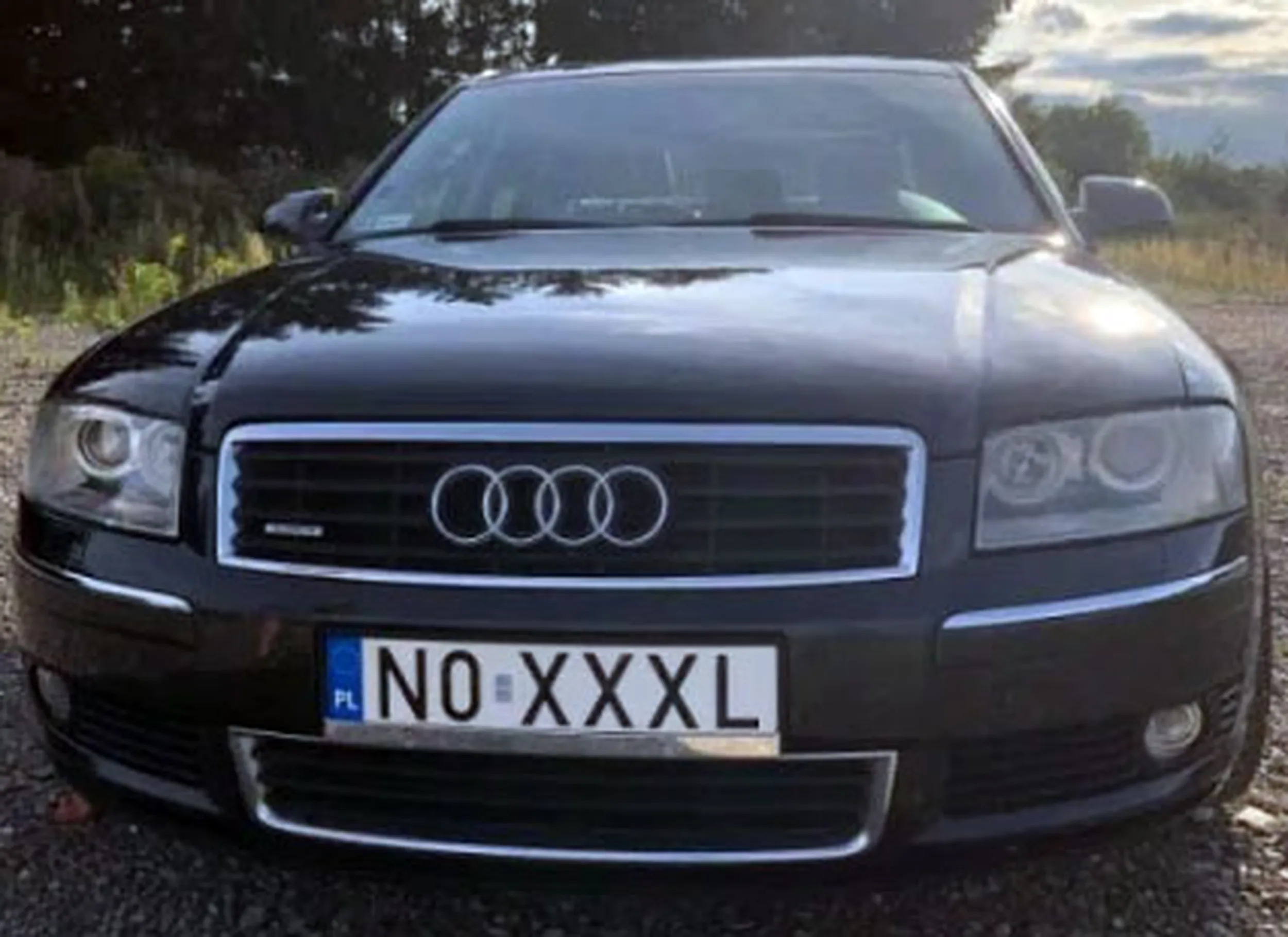 Fajny numer, blacha N0 XXXL