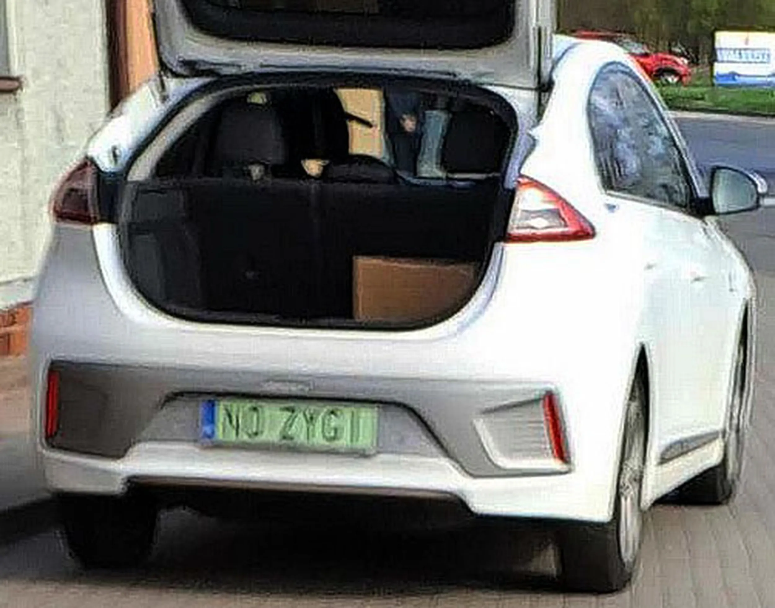 Fajny numer, blacha N0 ZYGI