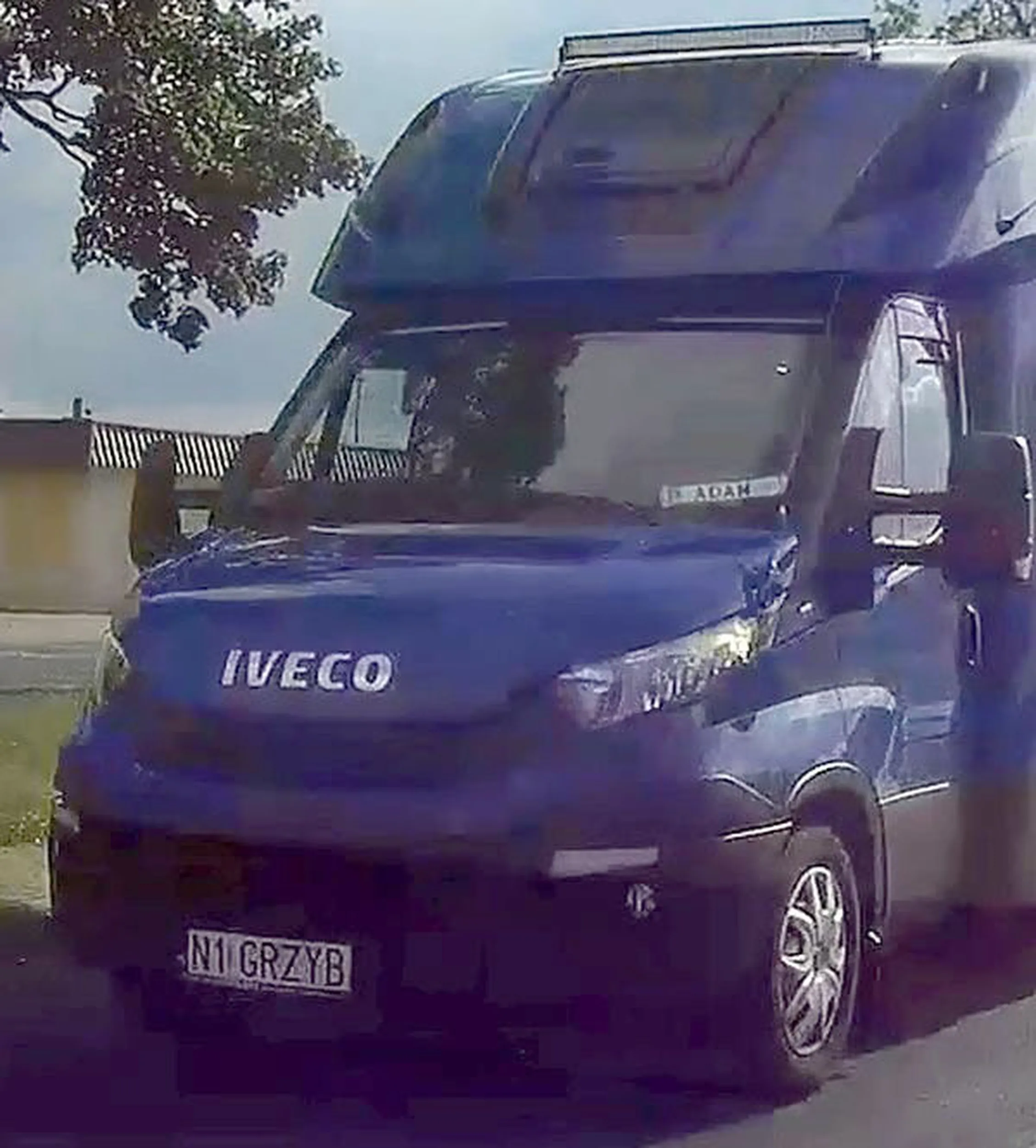 Fajny numer, blacha N1 GRZYB