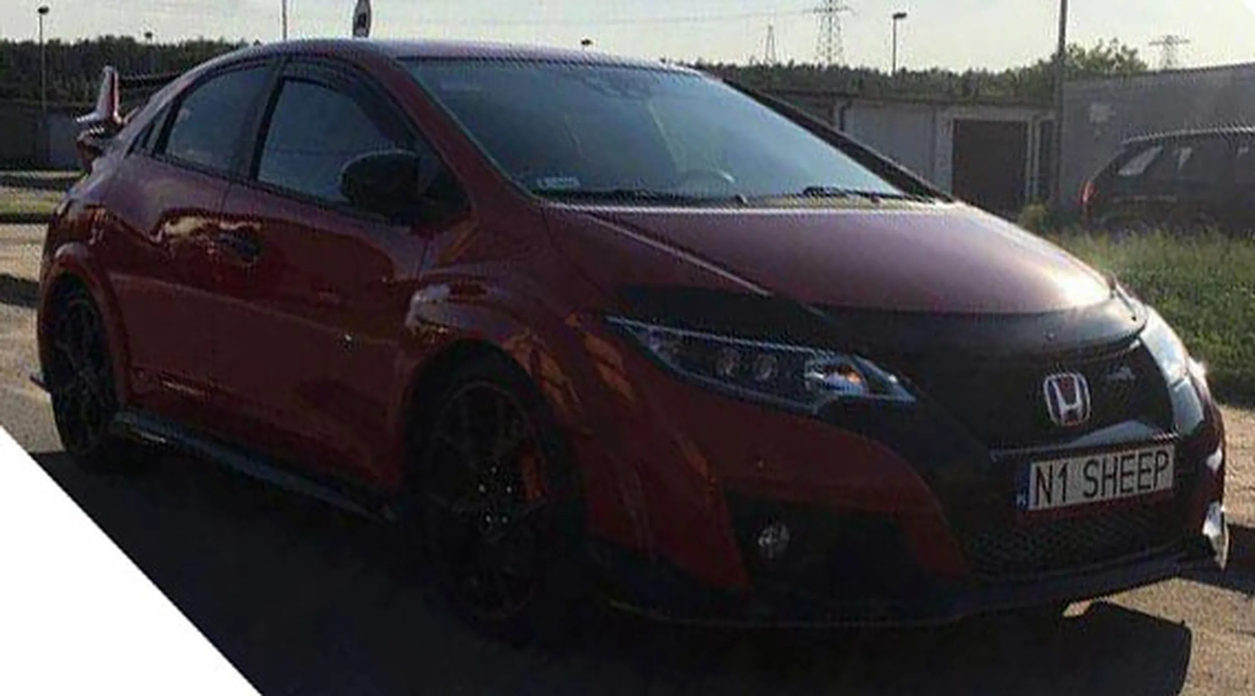 Fajny numer, blacha N1 SHEEP