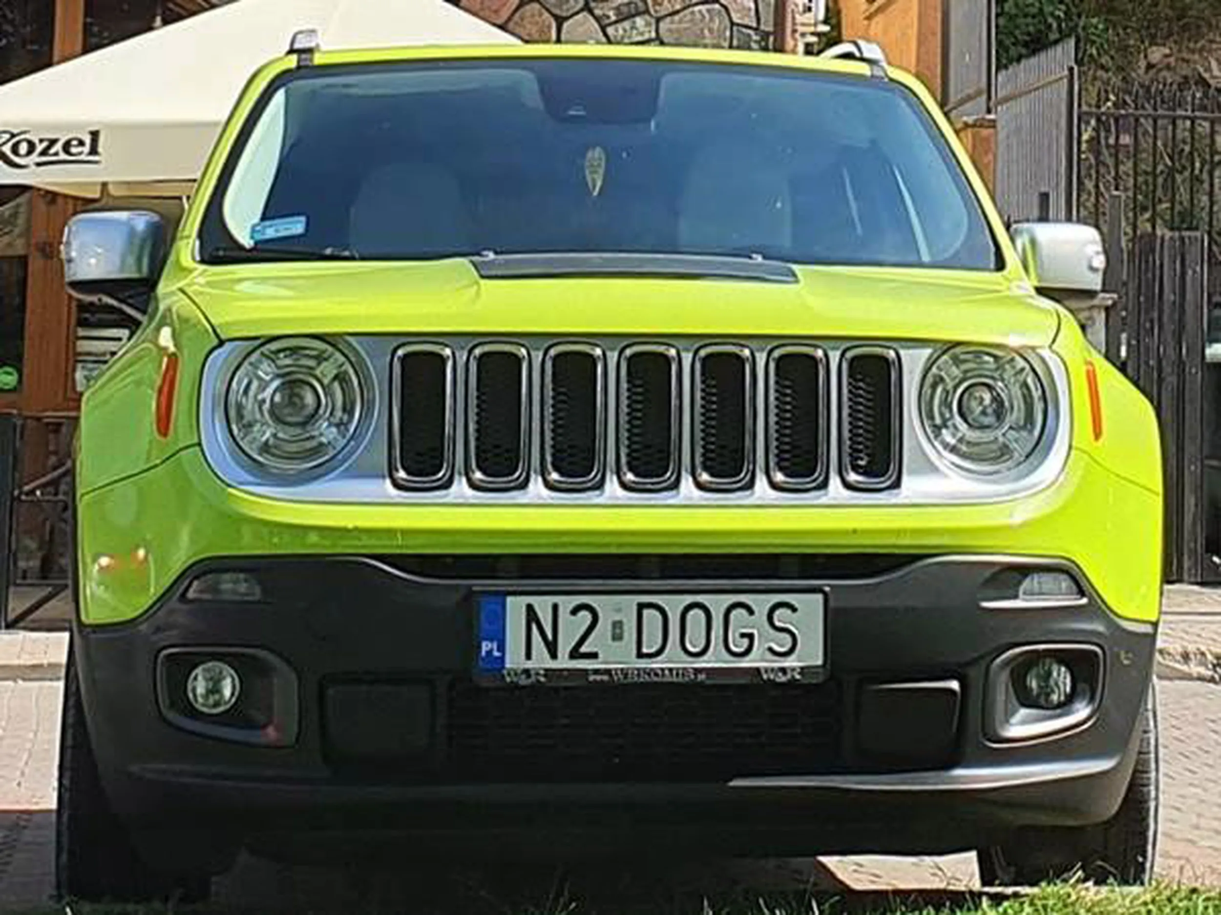 Fajny numer, blacha N2 DOGS