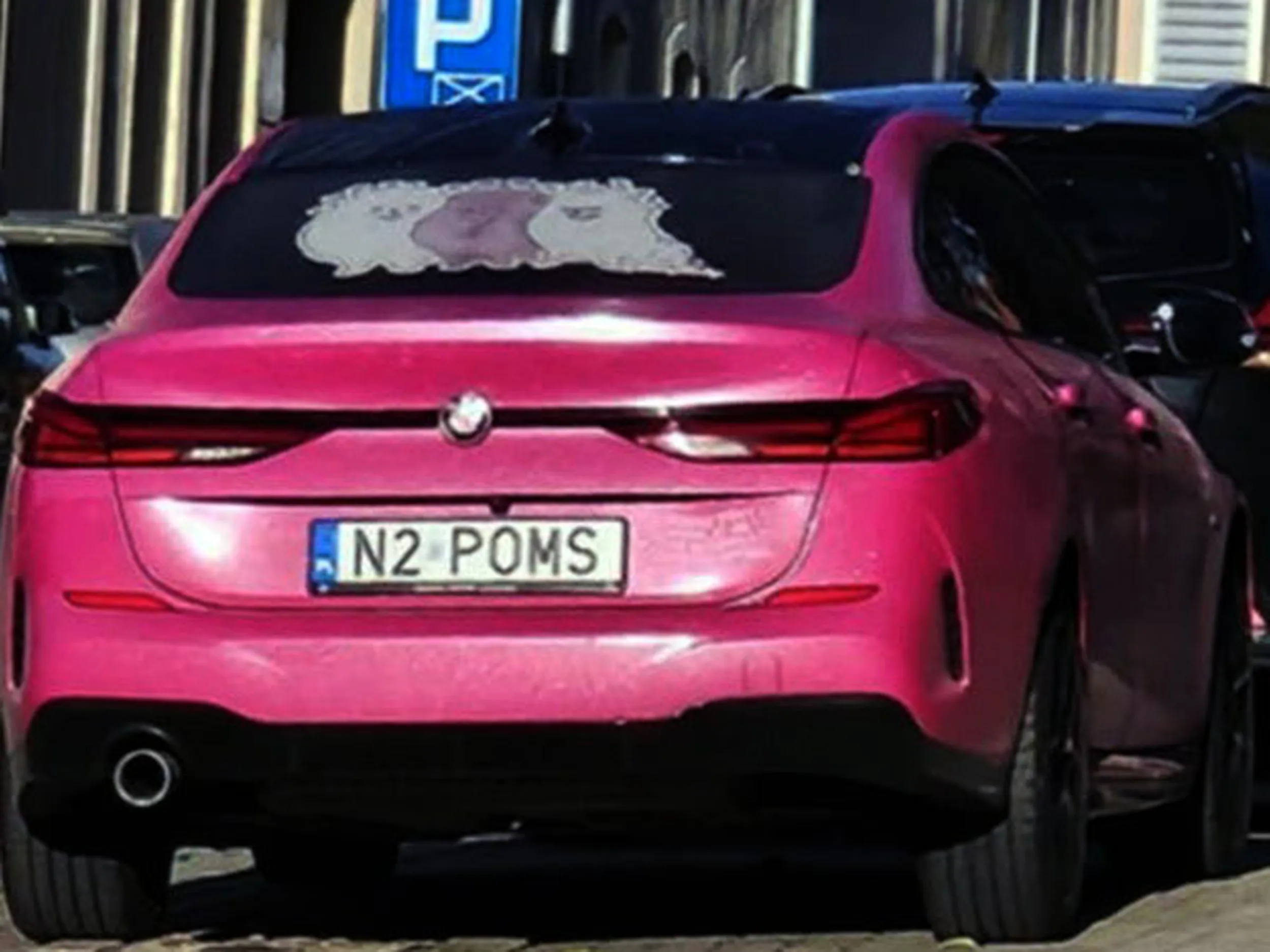 Fajny numer, blacha N2 POMS