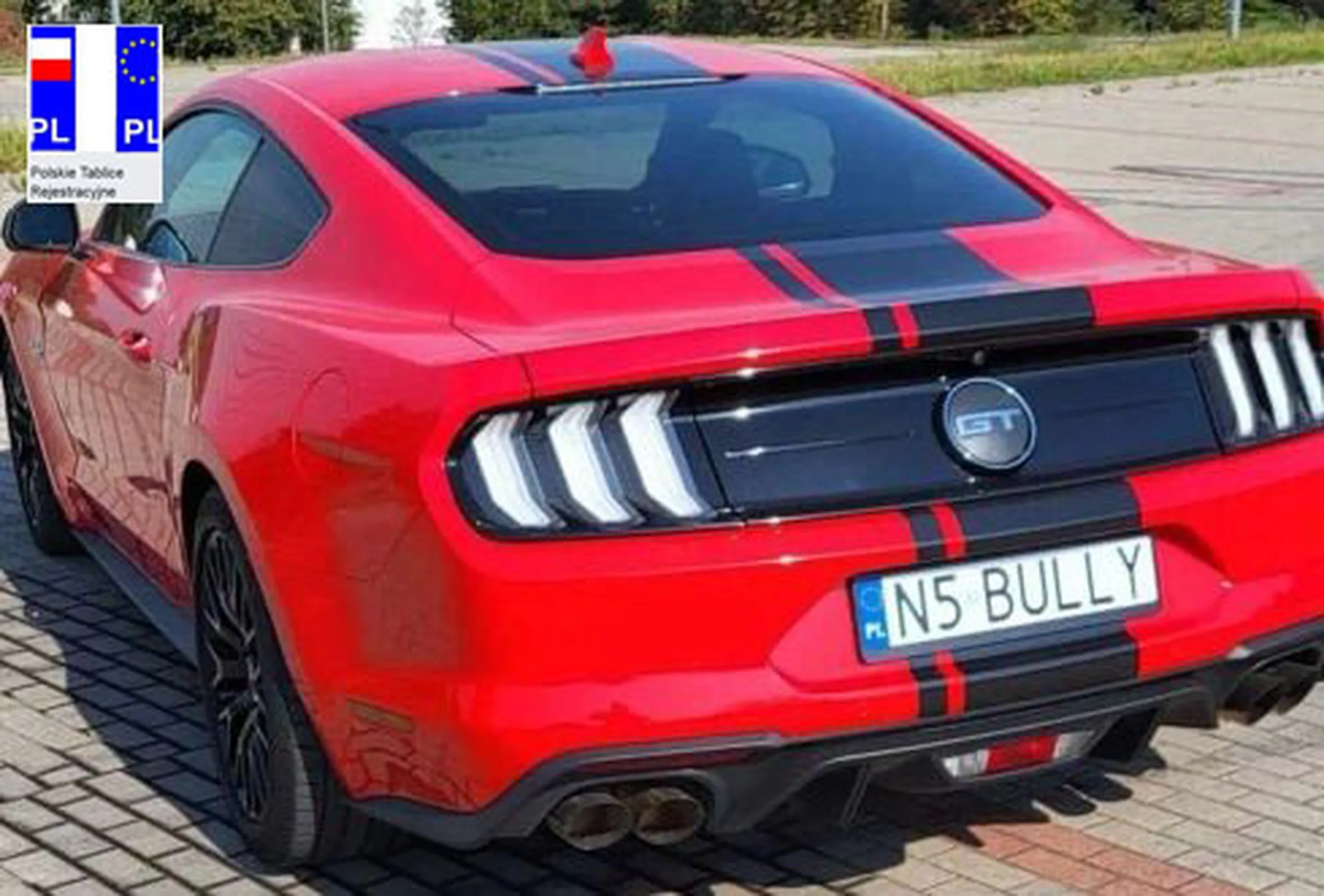 Fajny numer, blacha N5 BULLY