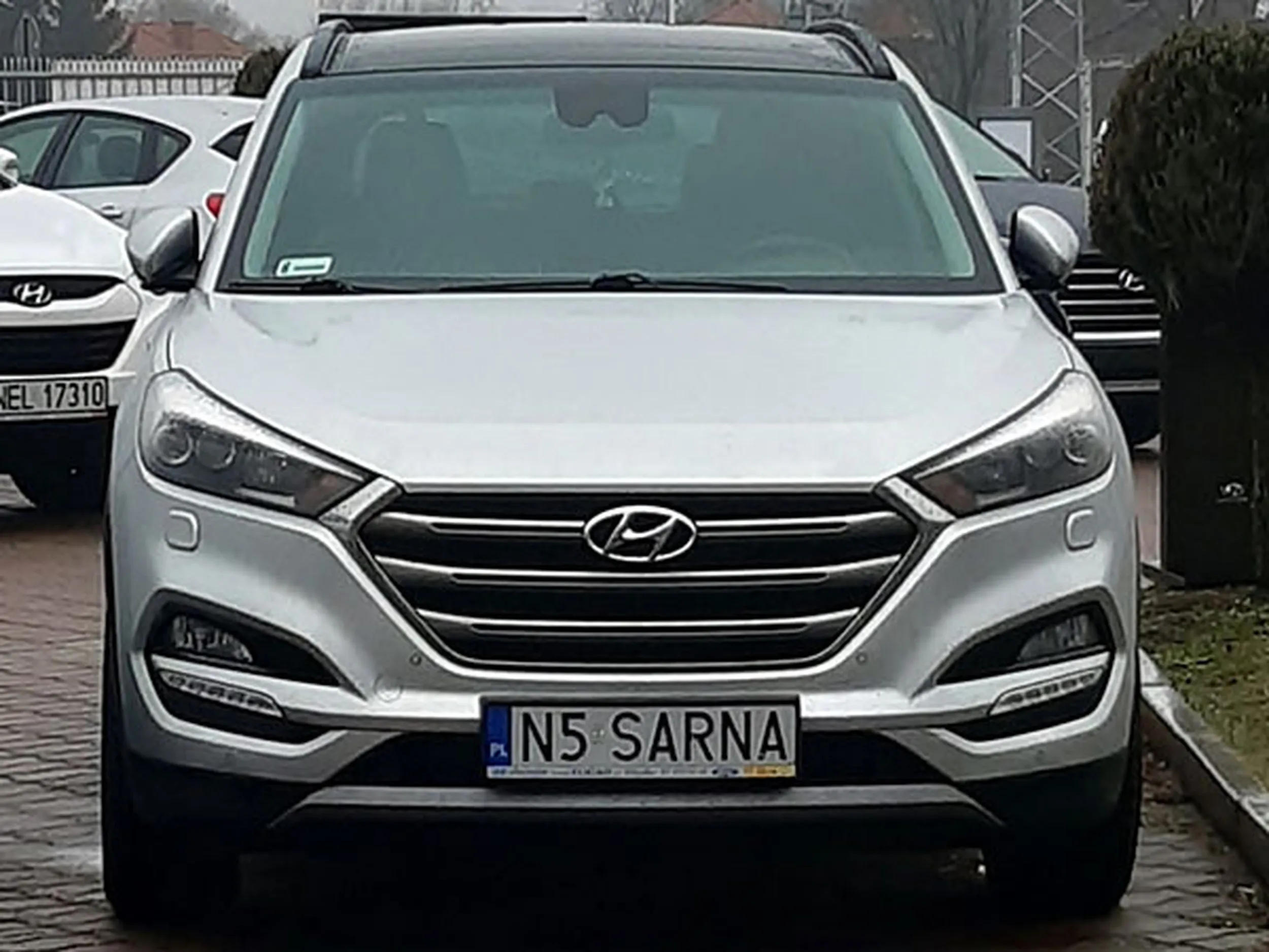 Fajny numer, blacha N5 SARNA