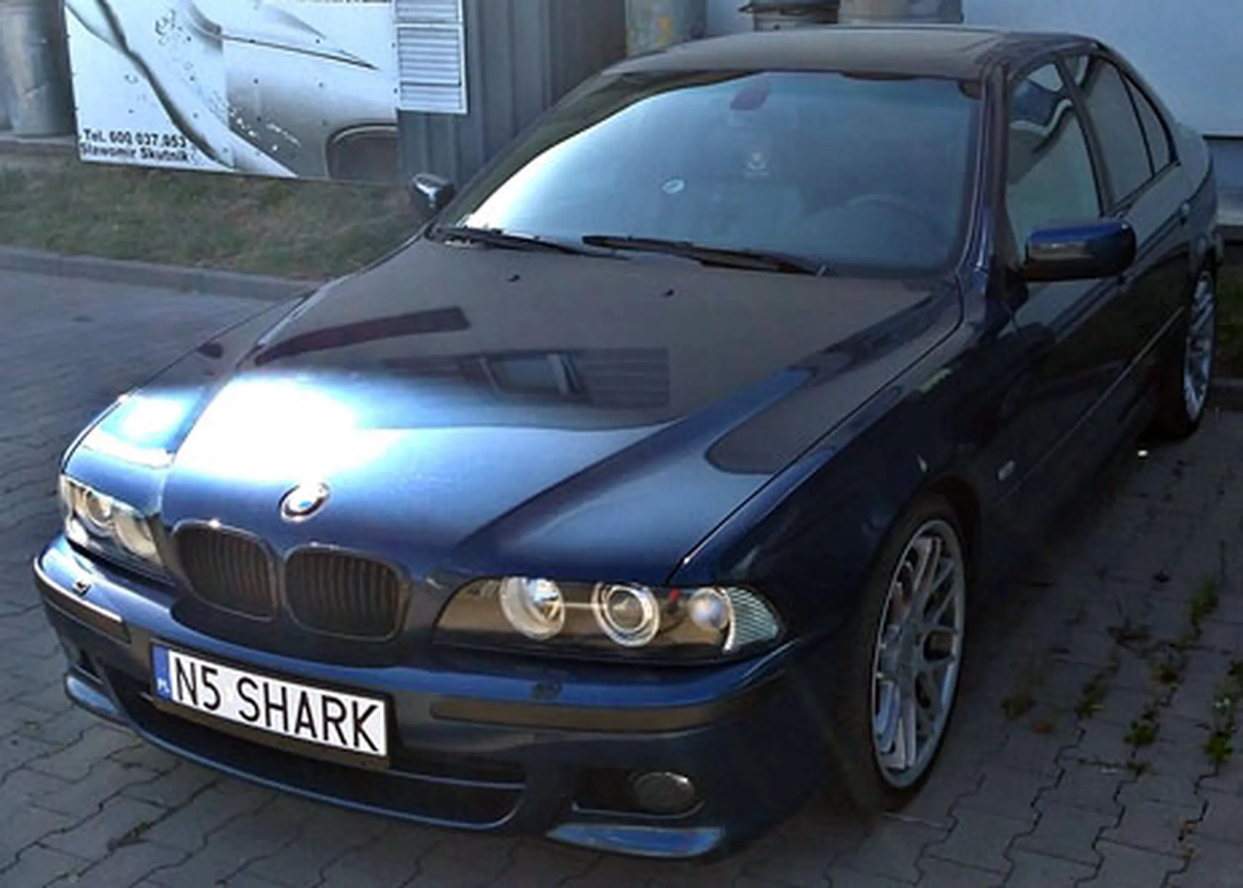 Fajny numer, blacha N5 SHARK