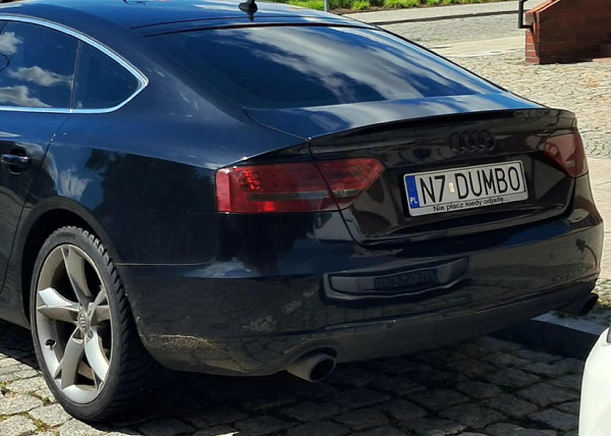 Fajny numer, blacha N7 DUMBO