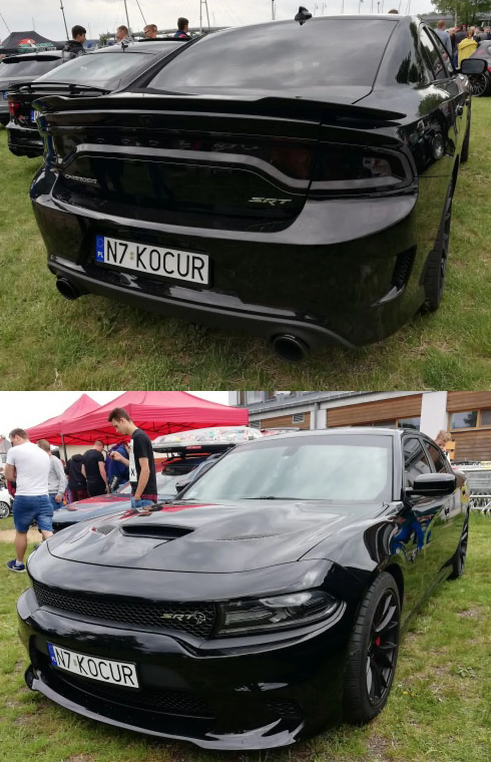 Fajny numer, blacha N7 KOCUR