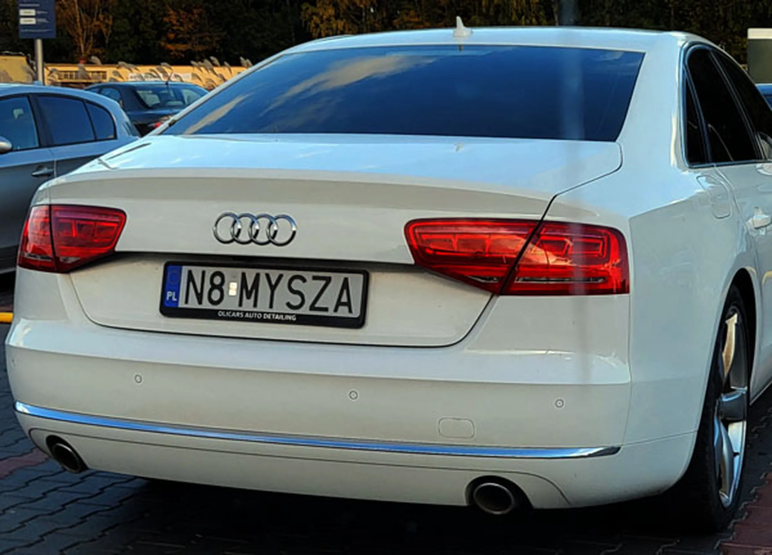 Fajny numer, blacha N8 MYSZA