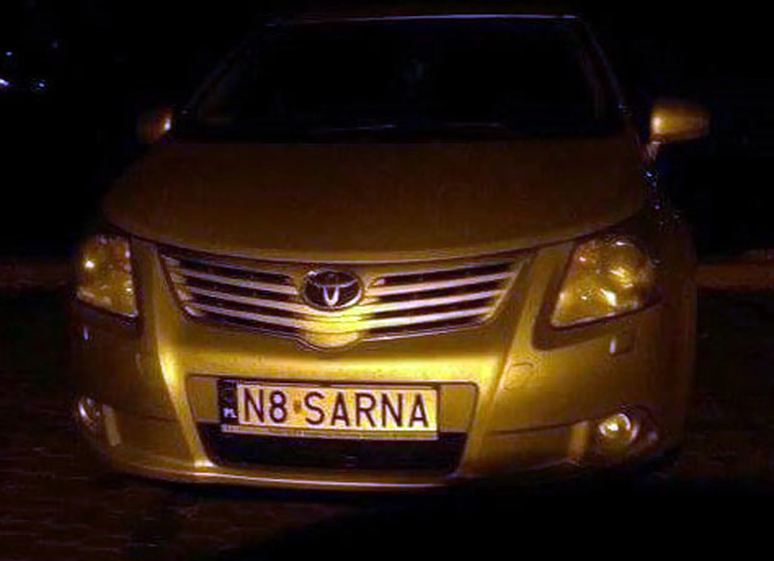 Fajny numer, blacha N8 SARNA