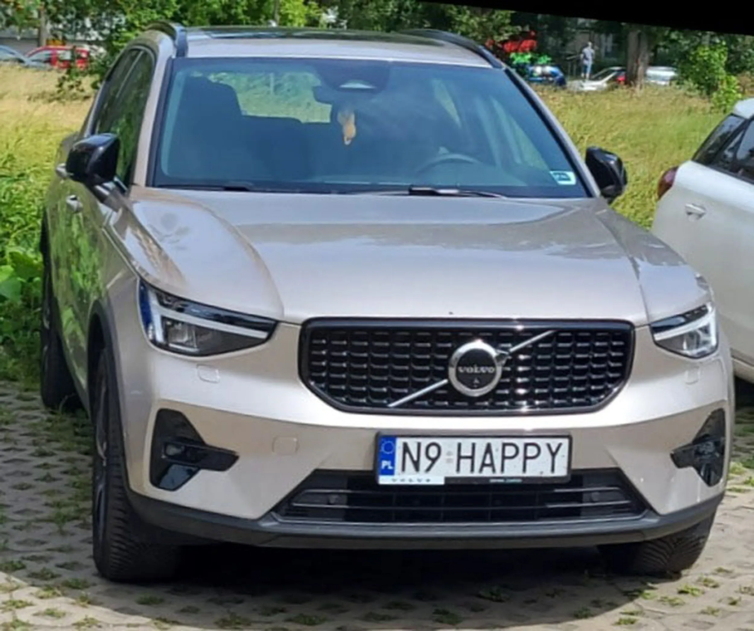 Fajny numer, blacha N9 HAPPY