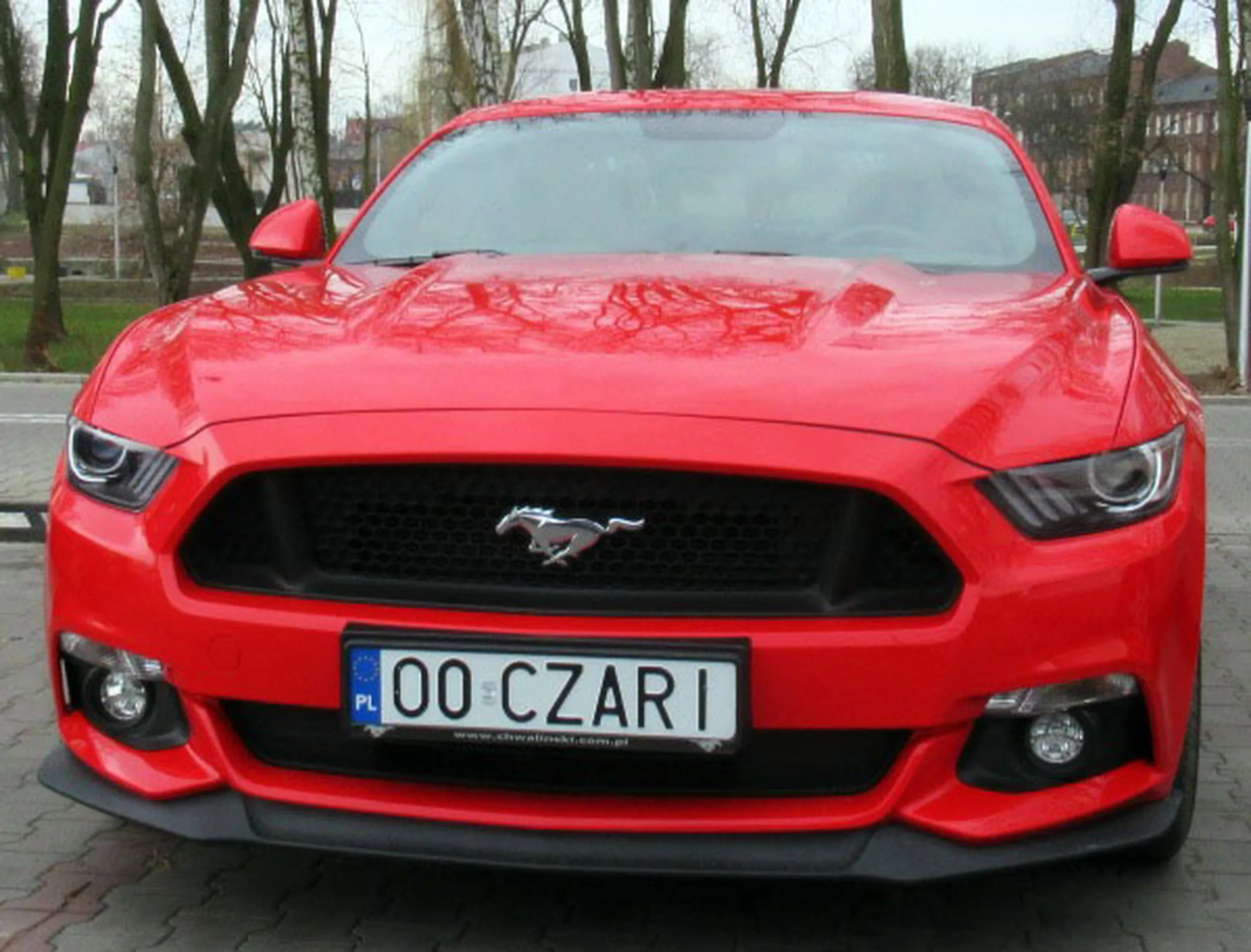 Fajny numer, blacha O0 CZARI