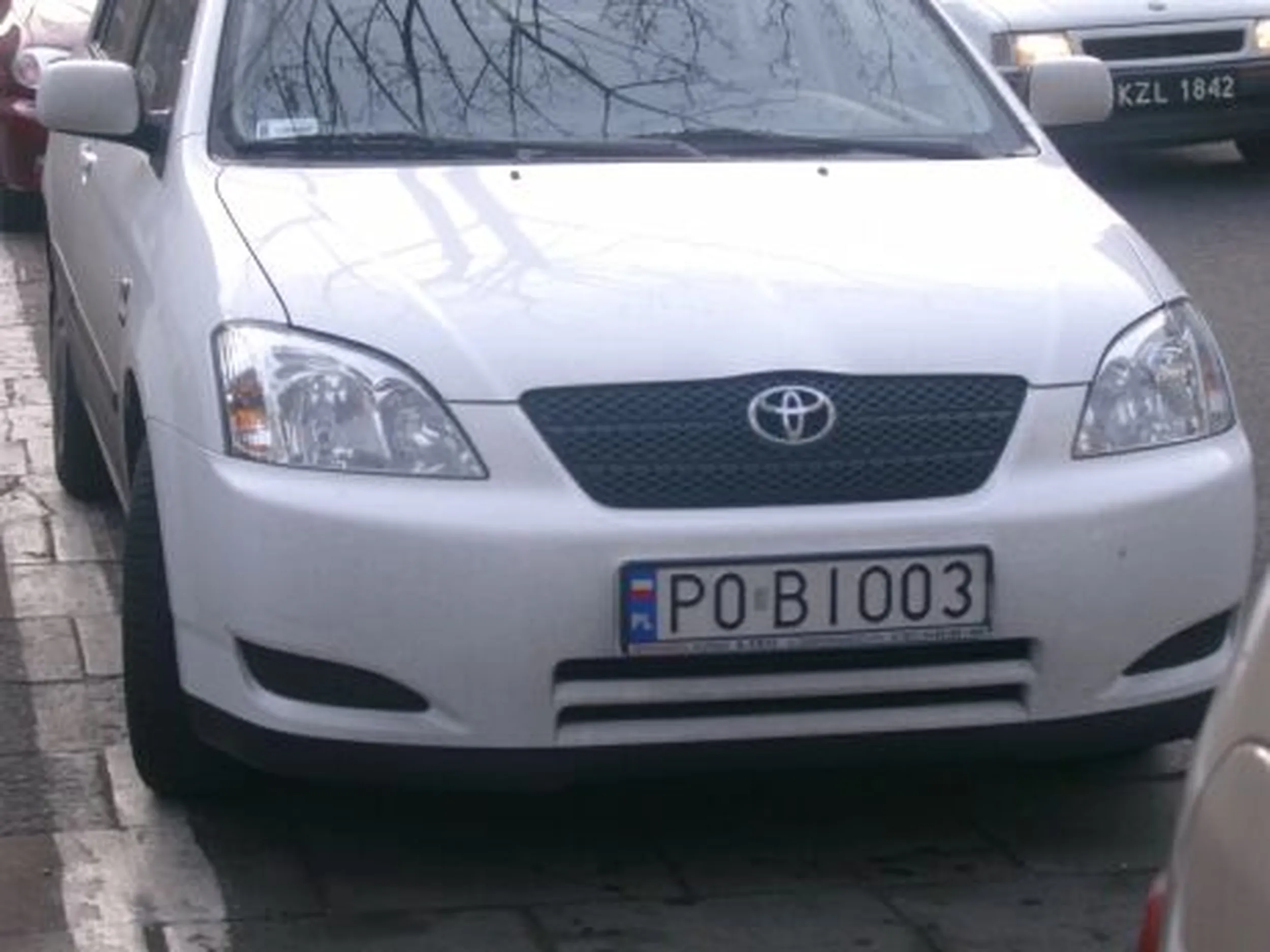 Fajny numer, blacha P0 BIO03