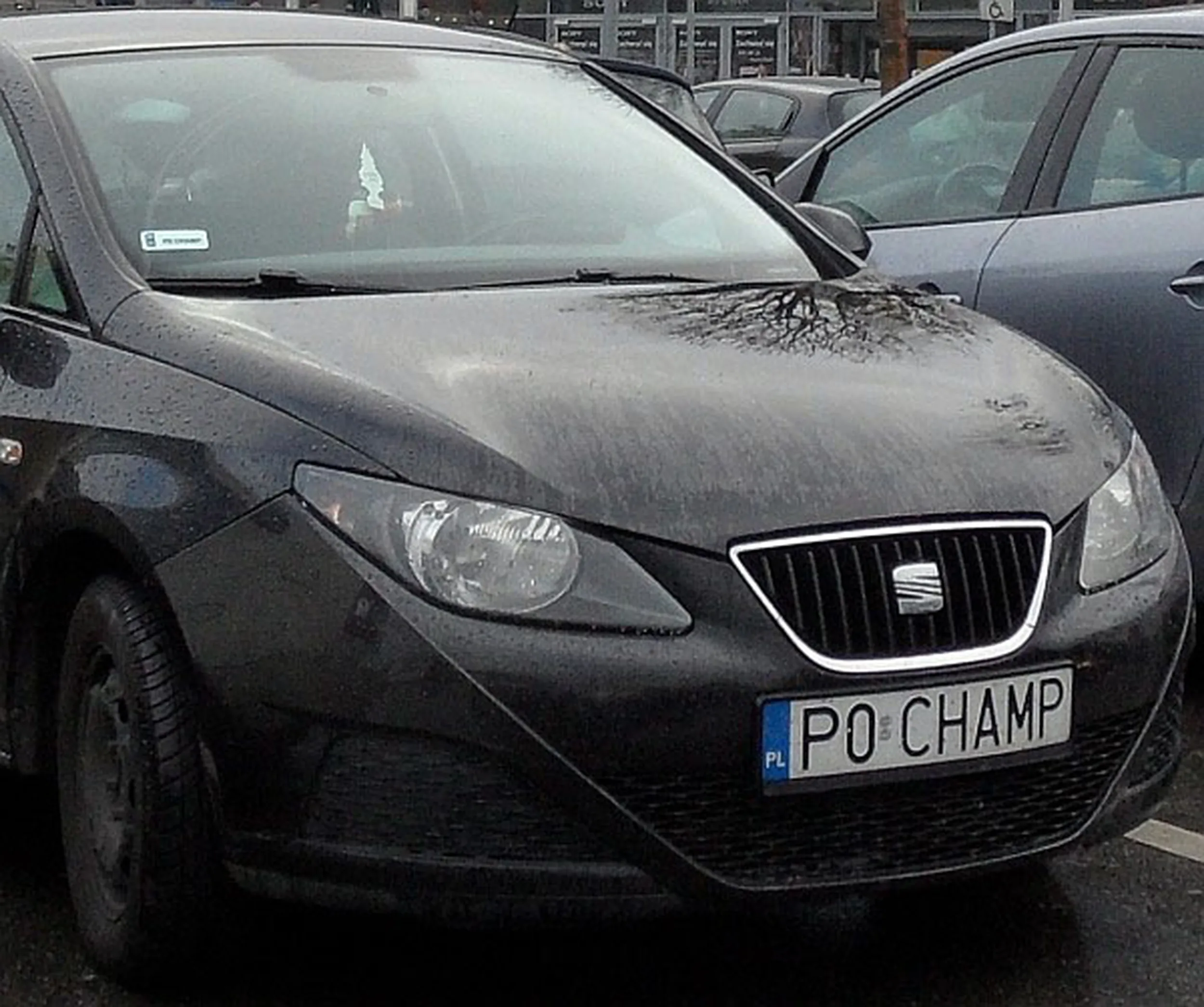 Fajny numer, blacha P0 CHAMP