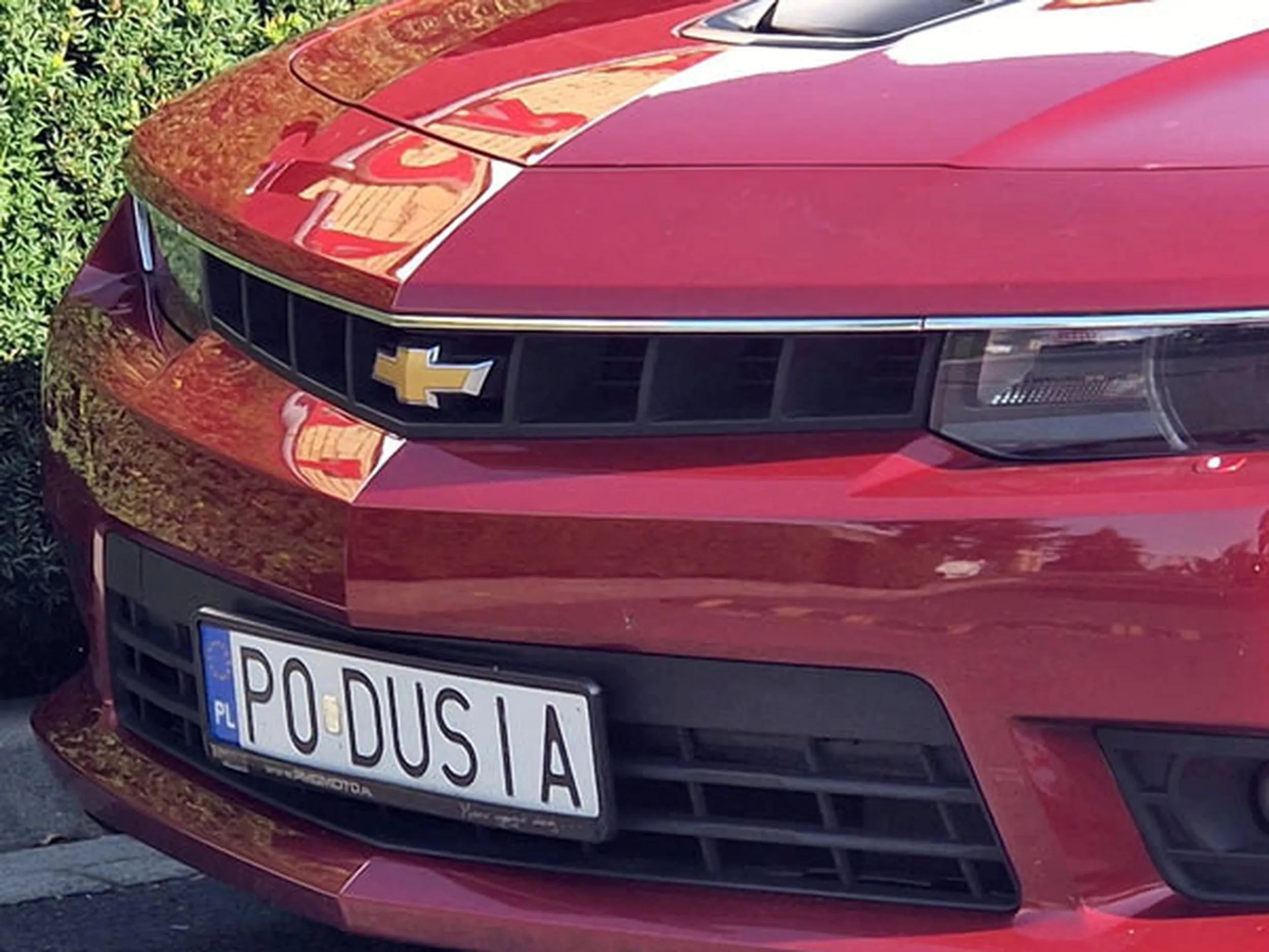 Fajny numer, blacha P0 DUSIA