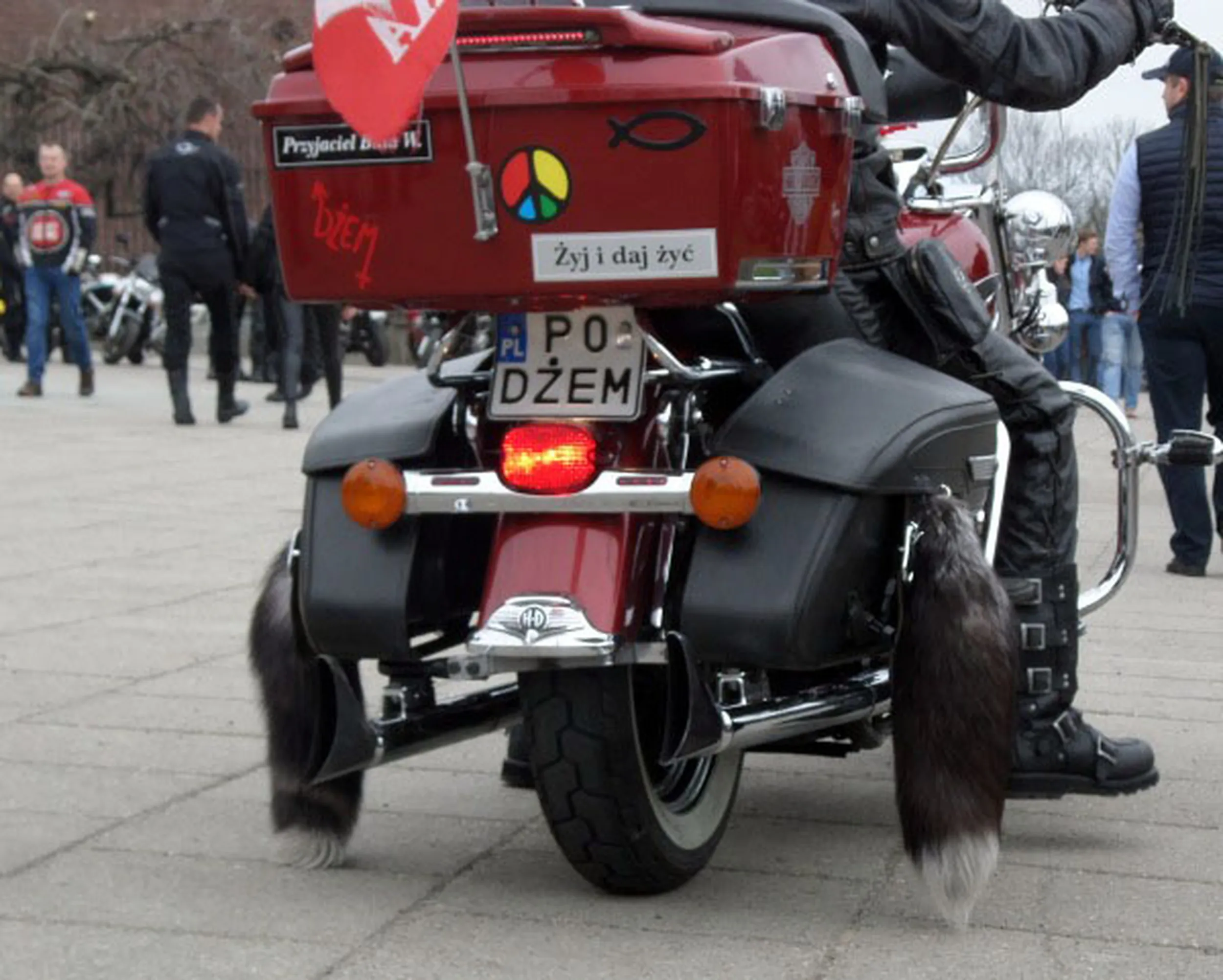 Fajny numer, blacha P0 DZEM