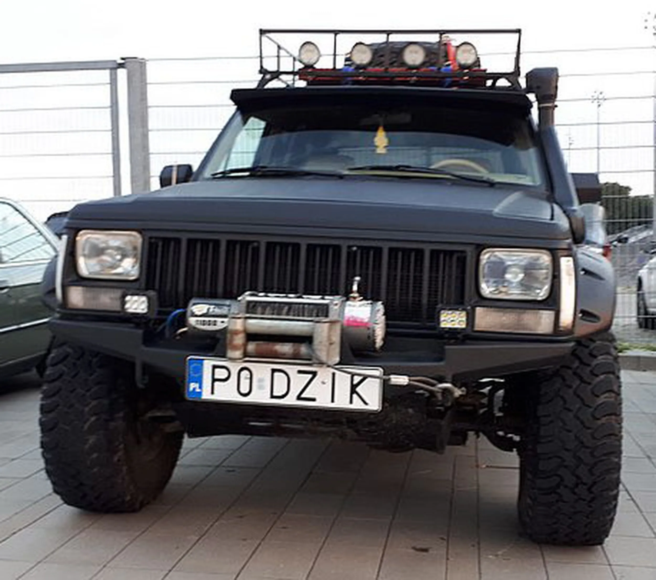 Fajny numer, blacha P0 DZIK