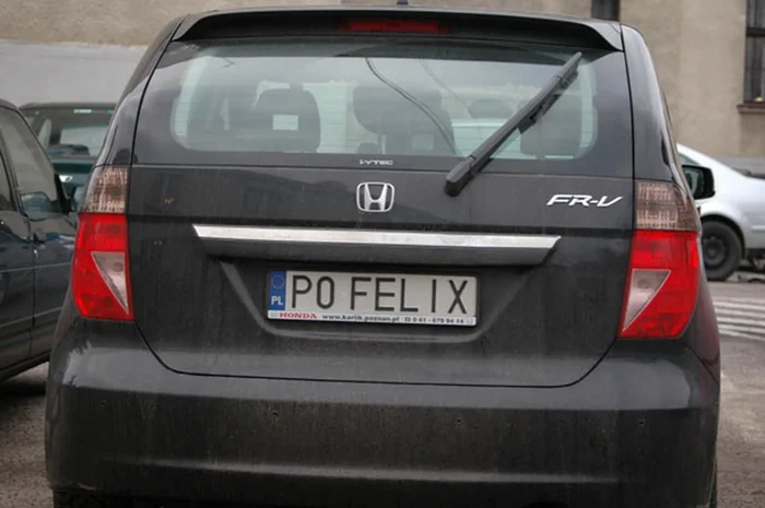 Fajny numer, blacha P0 FELIX