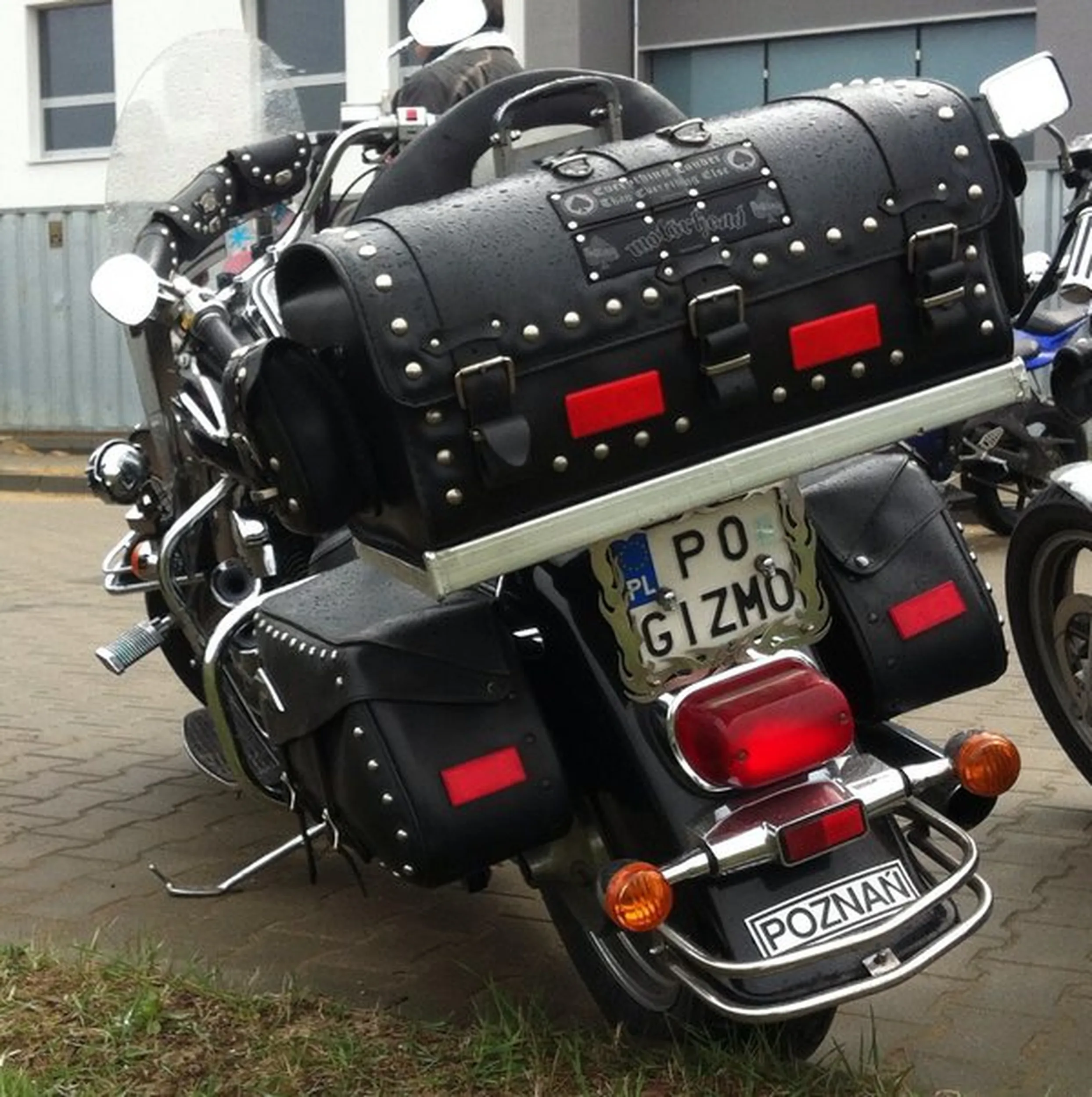 Fajny numer, blacha P0 GIZMO