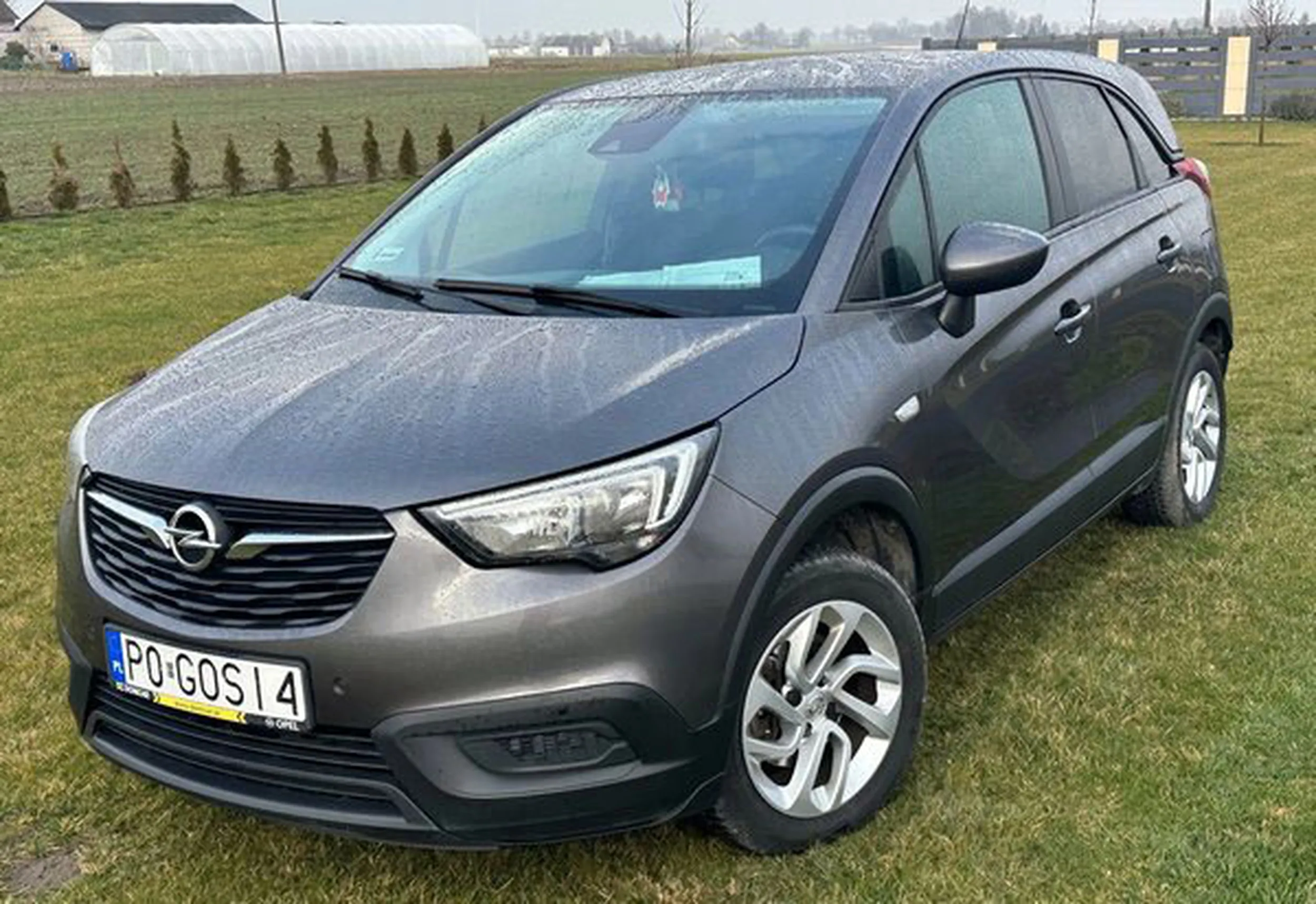 Fajny numer, blacha P0 GOSI4