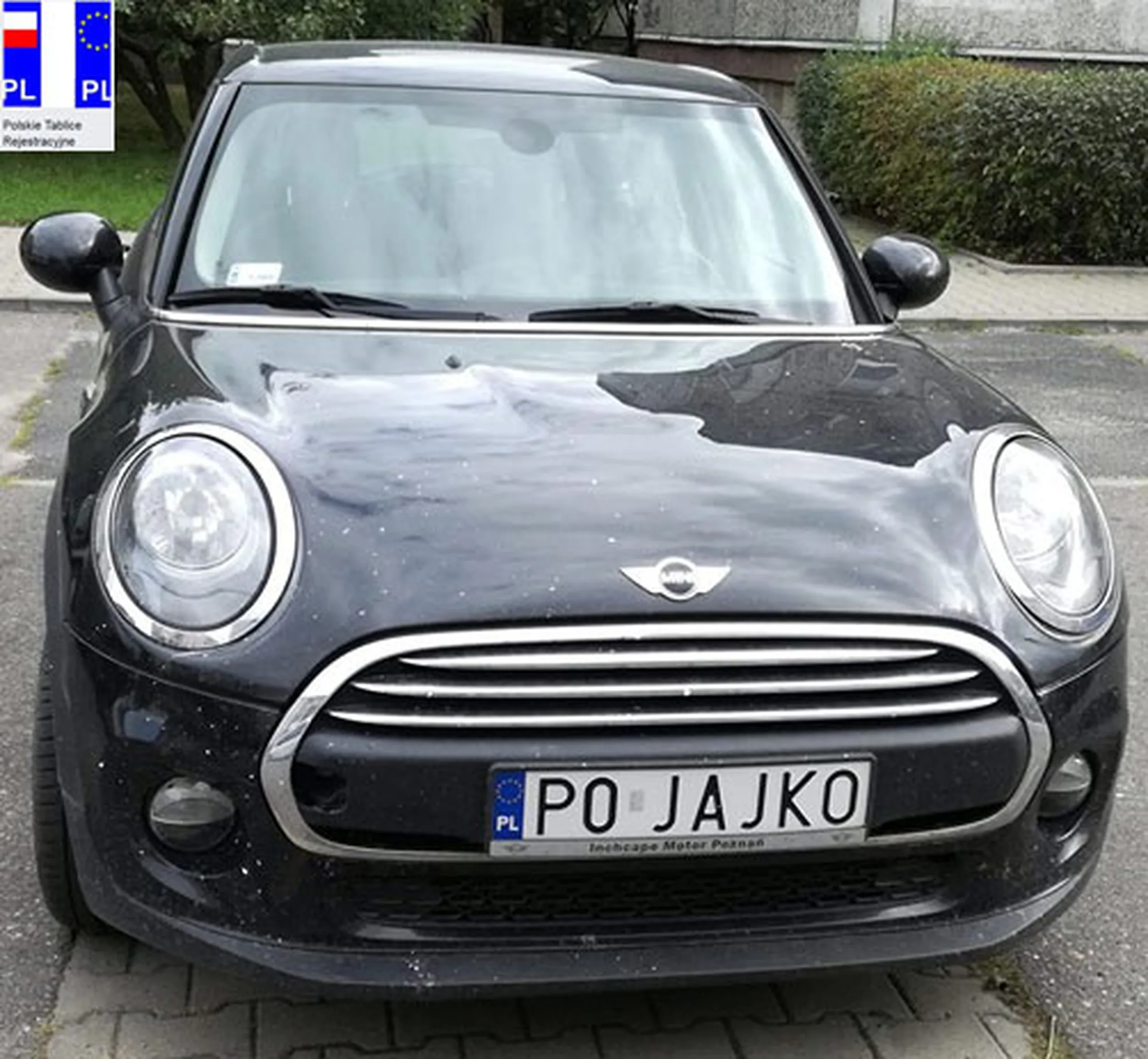 Fajny numer, blacha P0 JAJKO