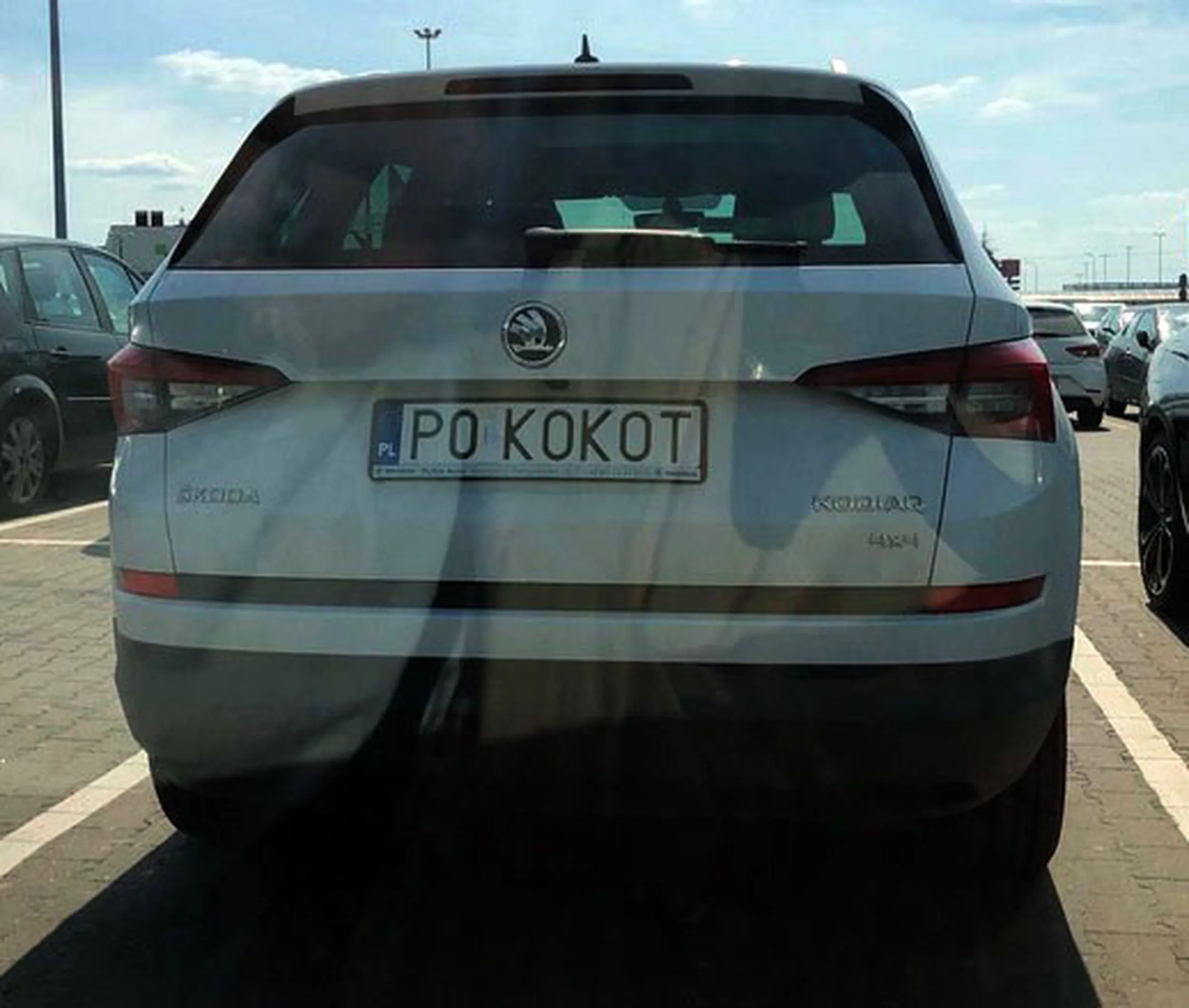 Fajny numer, blacha P0 KOKOT