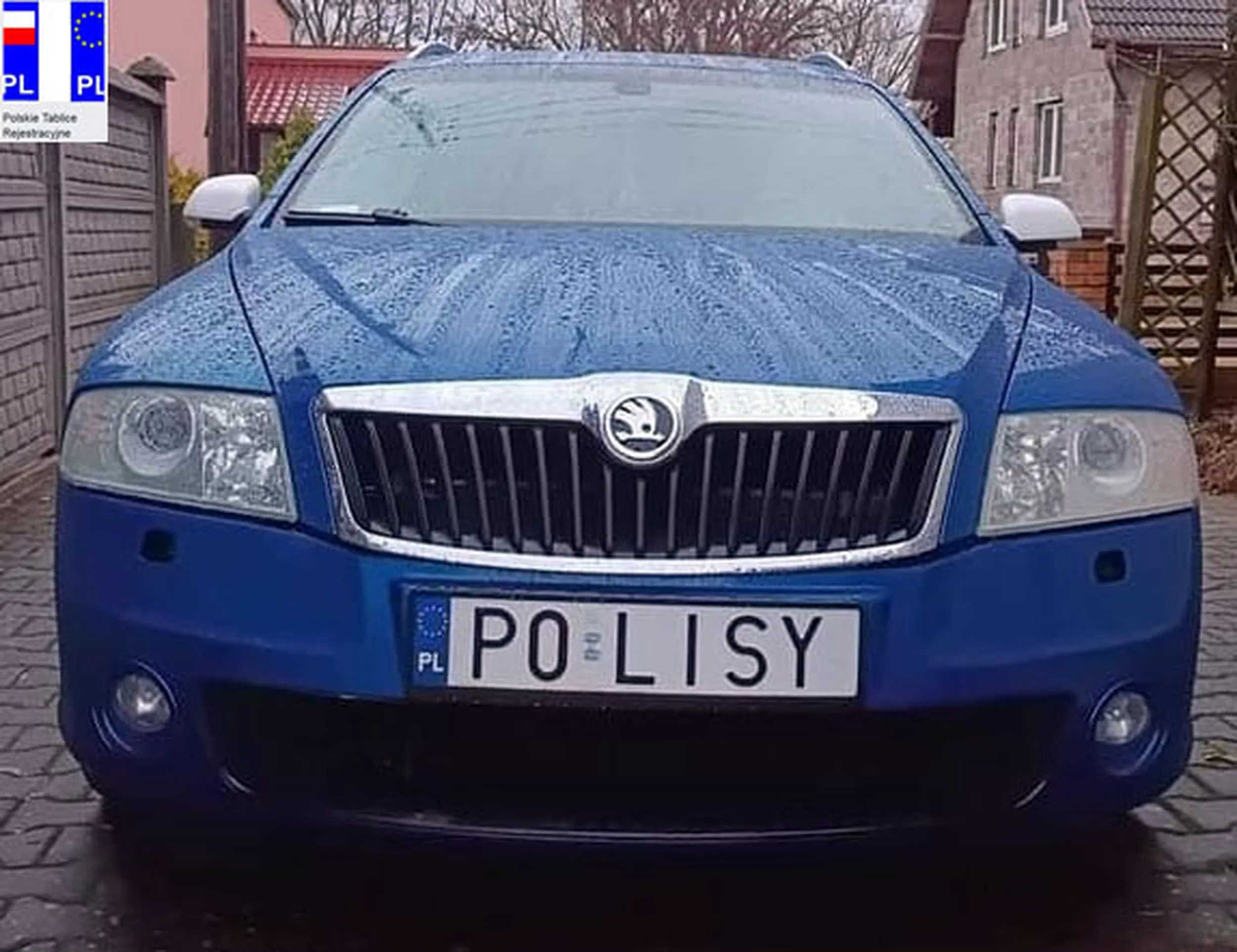 Fajny numer, blacha P0 LISY