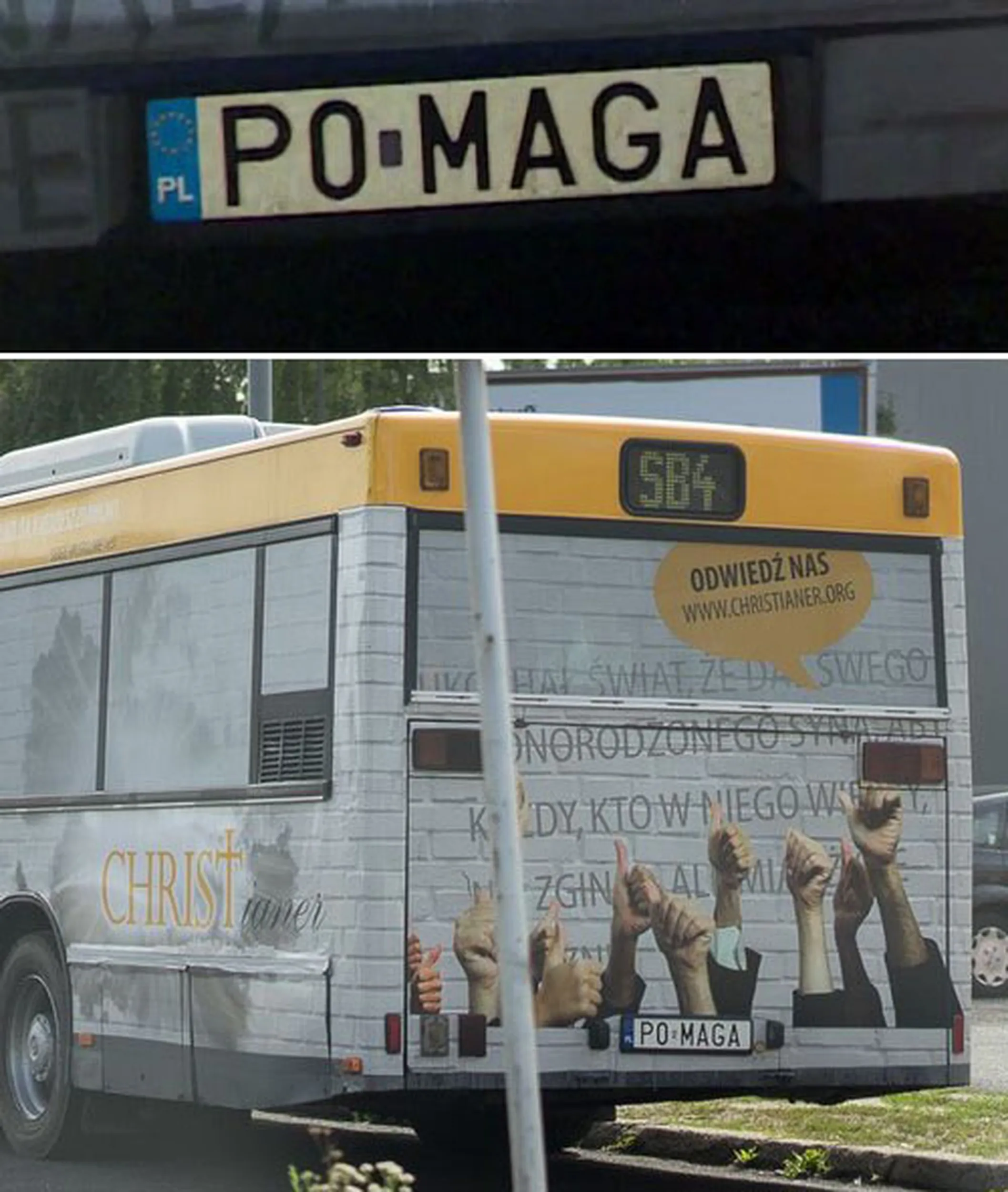 Fajny numer, blacha P0 MAGA