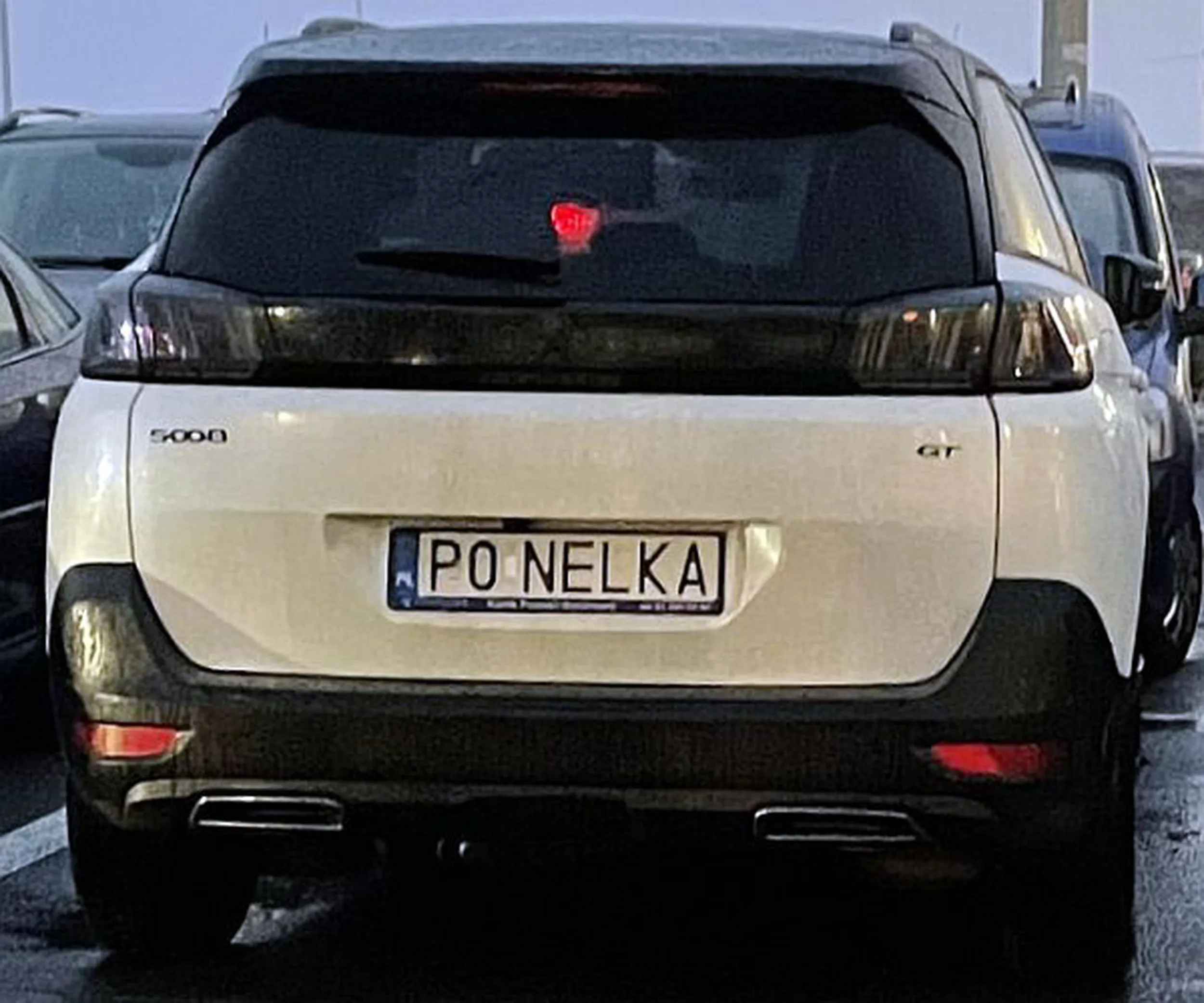 Fajny numer, blacha P0 NELKA