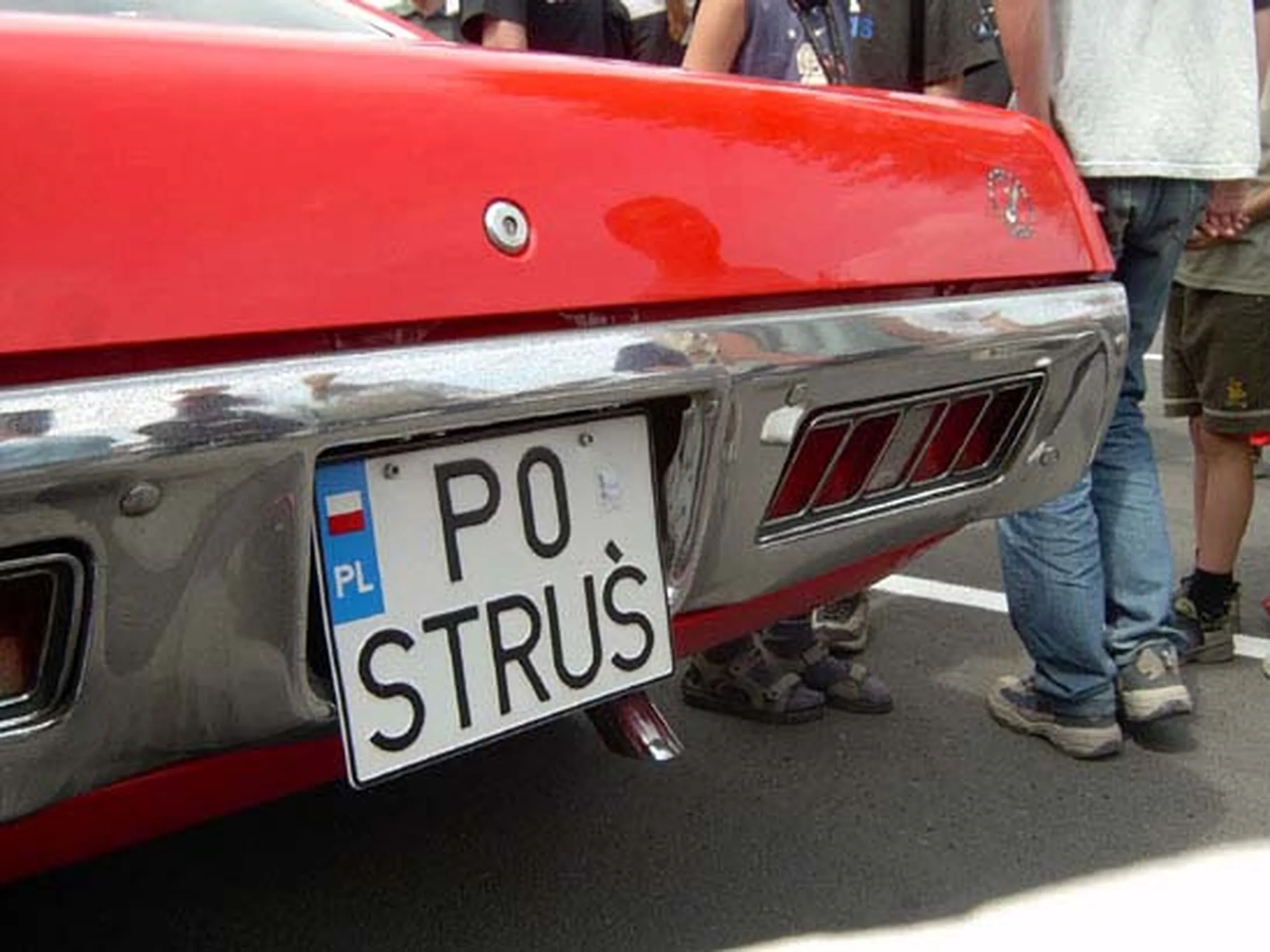 Fajny numer, blacha P0 STRUS