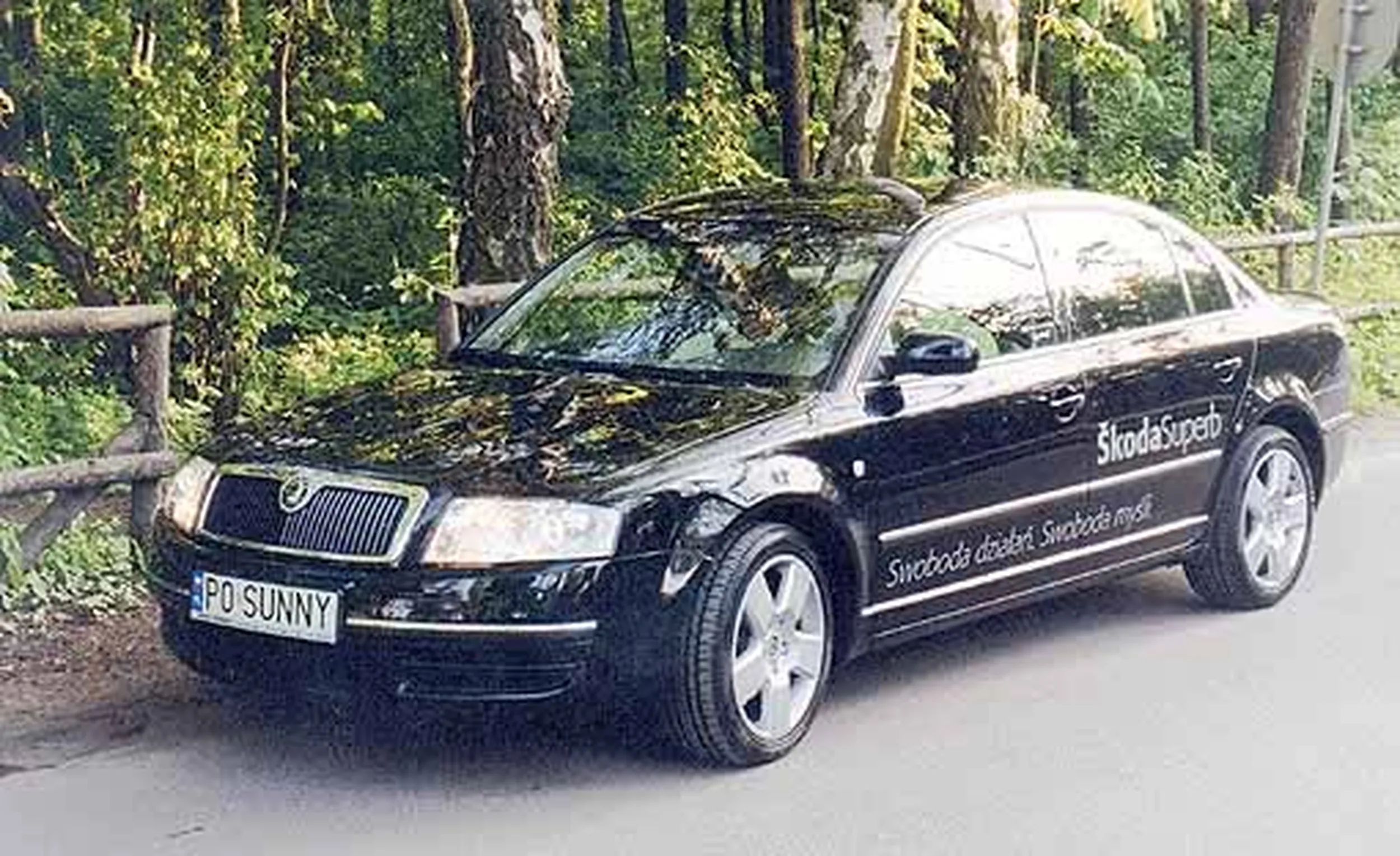 Fajny numer, blacha P0 SUNNY