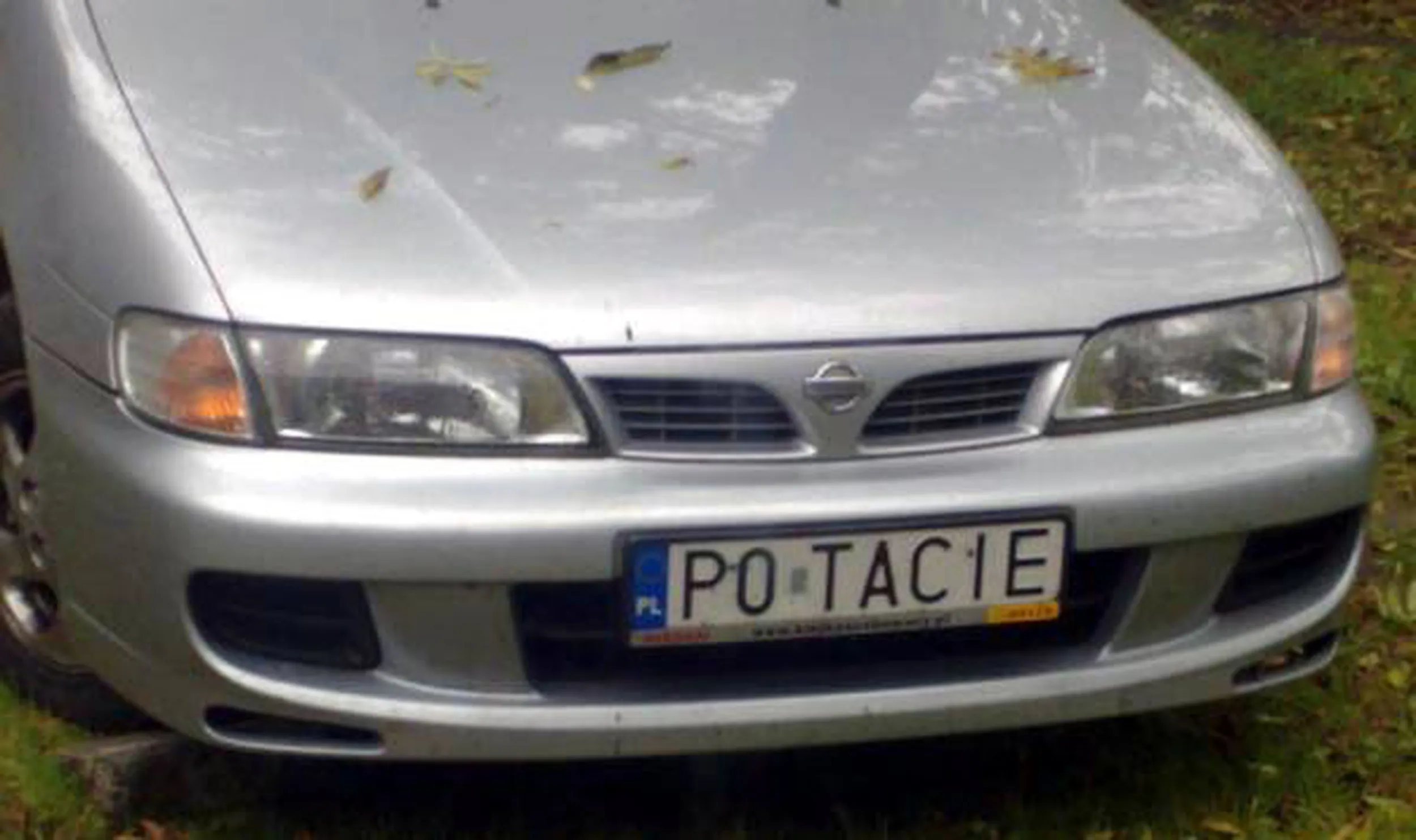 Fajny numer, blacha P0 TACIE