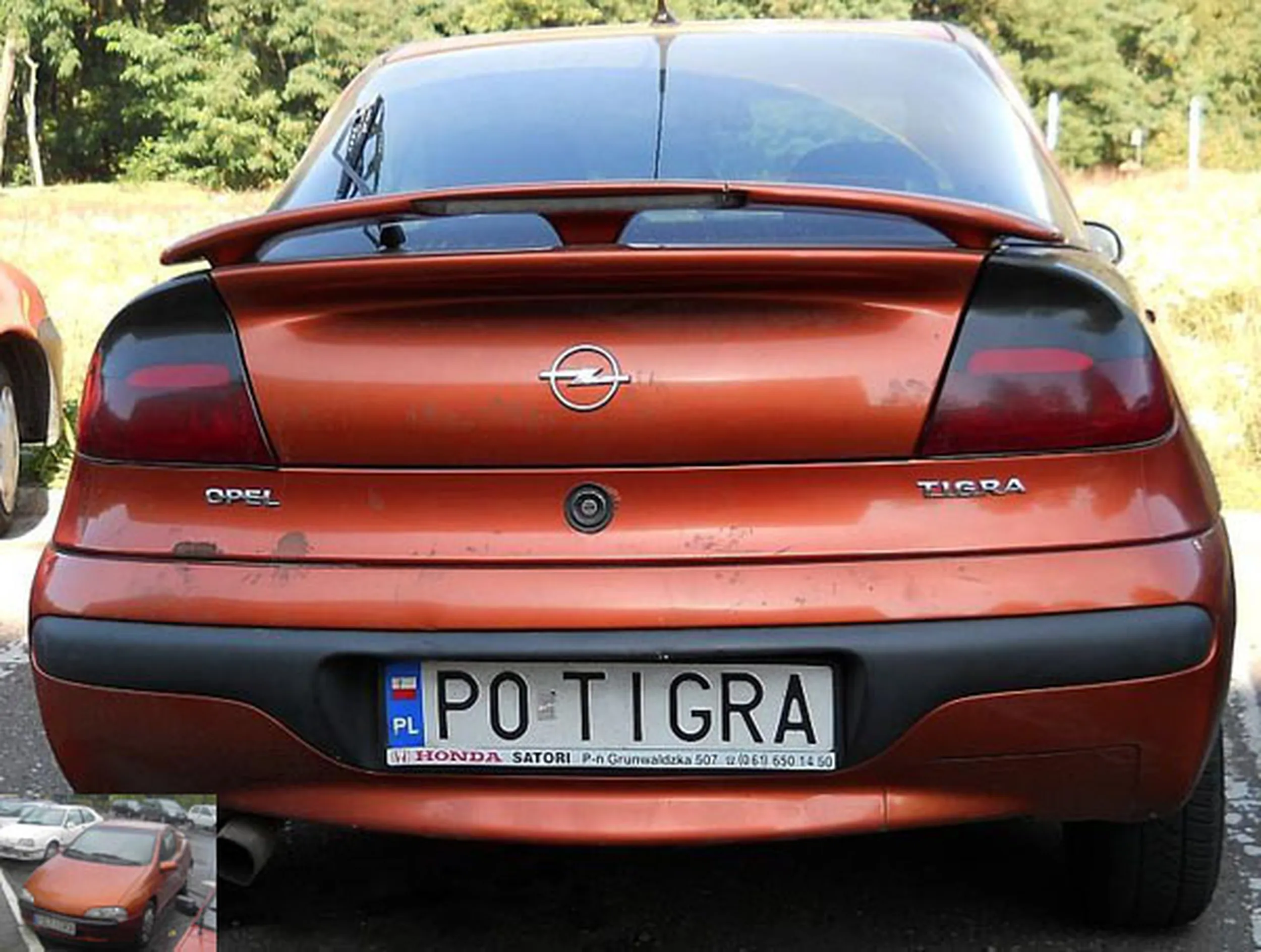 Fajny numer, blacha P0 TIGRA