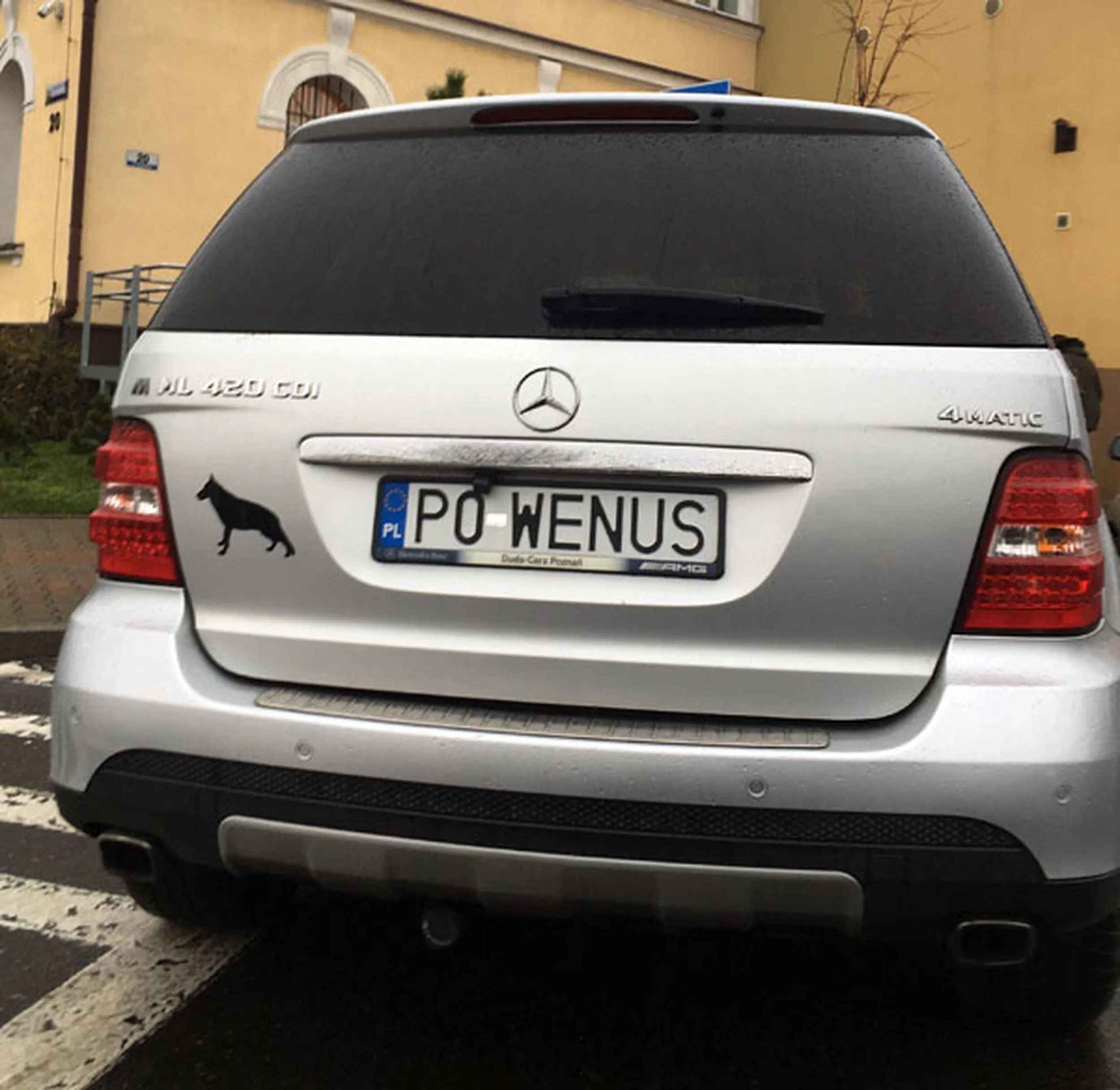 Fajny numer, blacha P0 WENUS