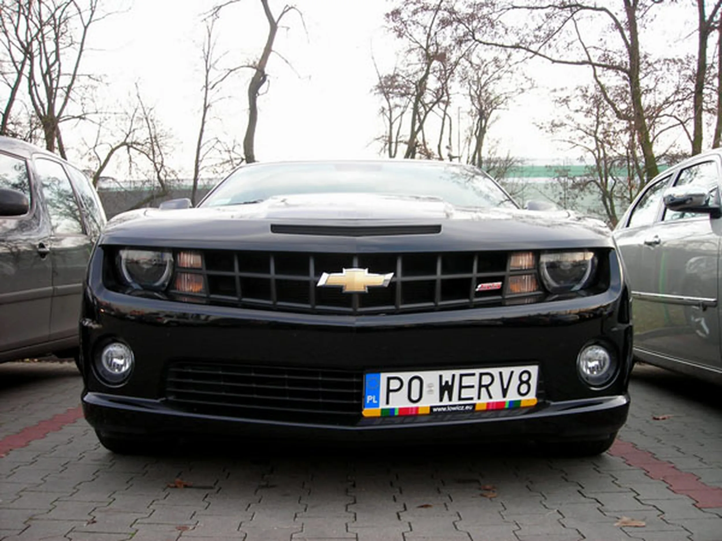 Fajny numer, blacha P0 WERV8