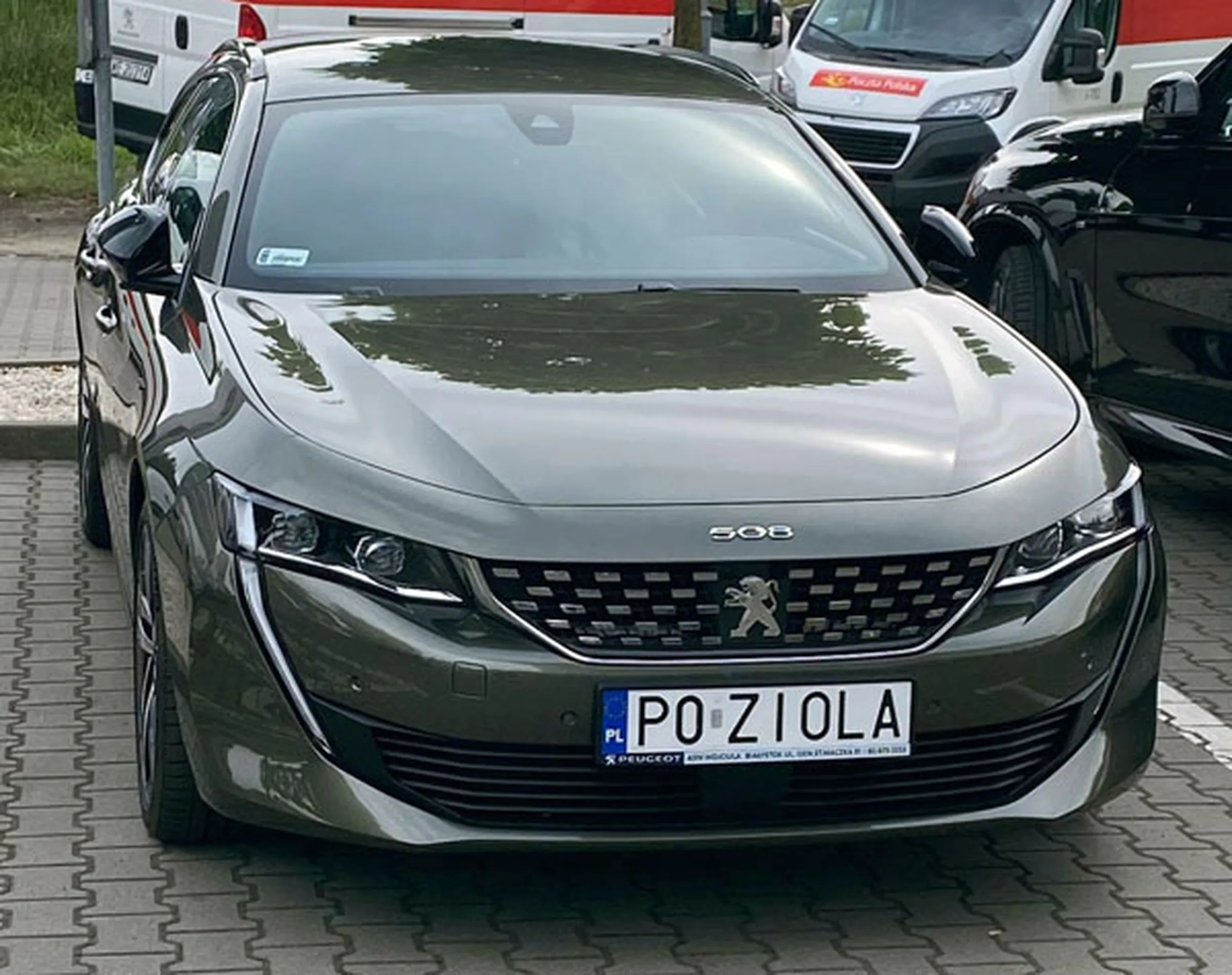 Fajny numer, blacha P0 ZIOLA