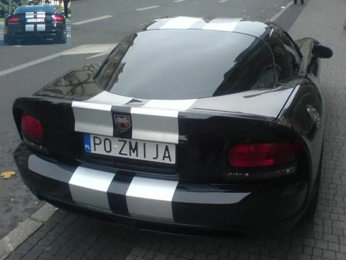 Fajny numer, blacha P0 ZMIJA