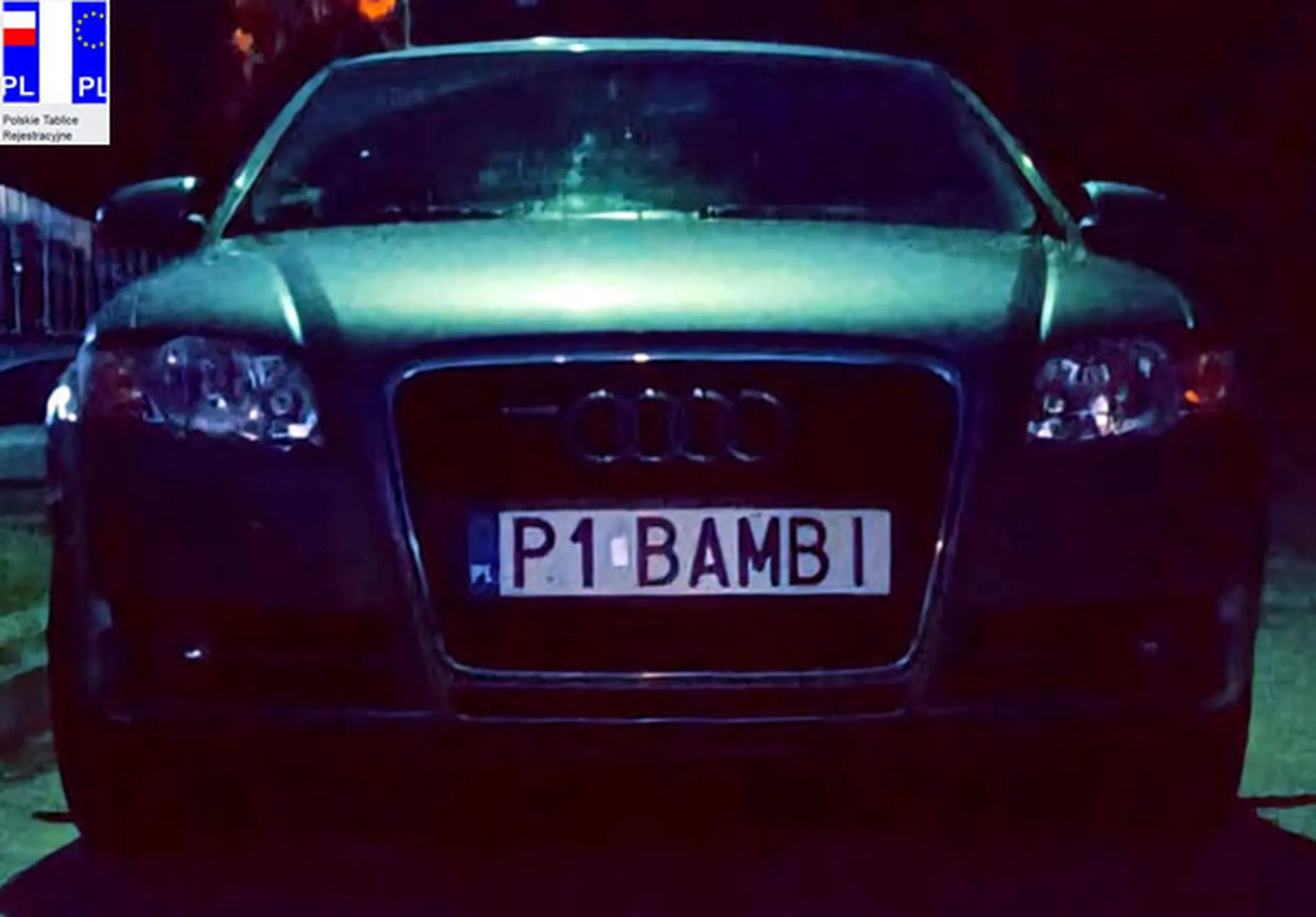 Fajny numer, blacha P1 BAMBI